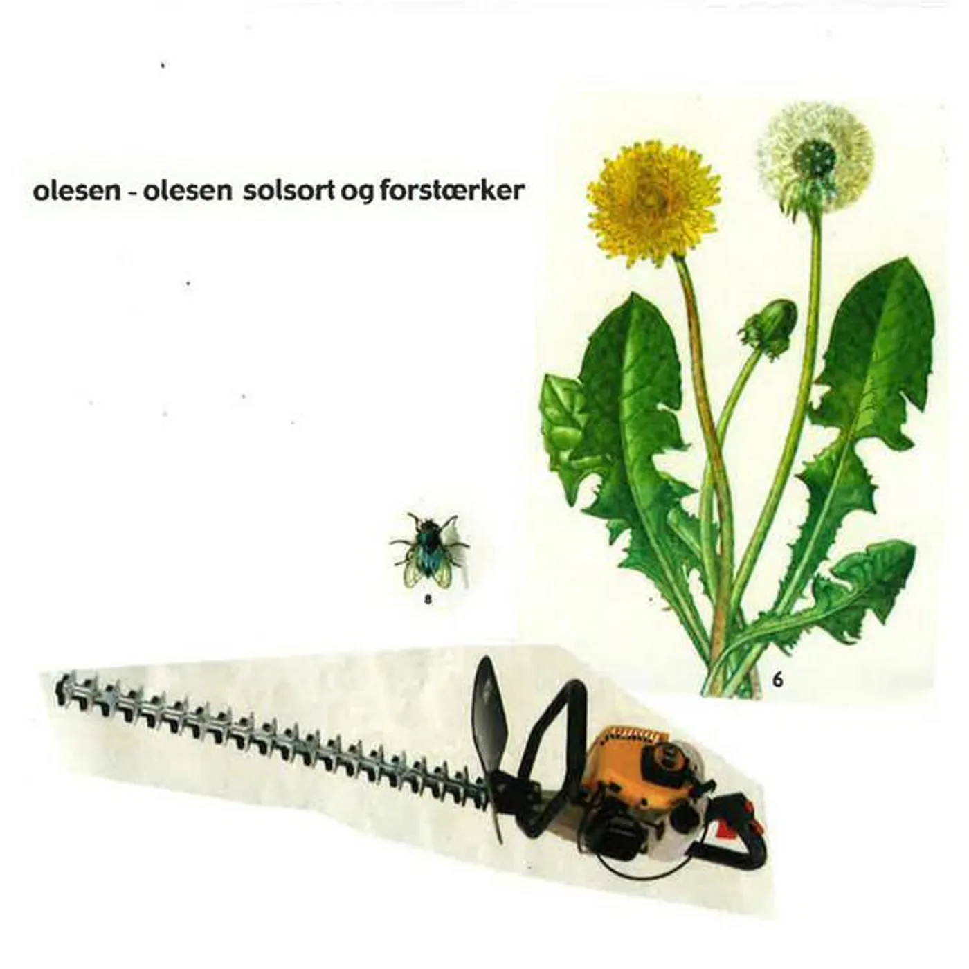 Olesen - Olesen Brand Page