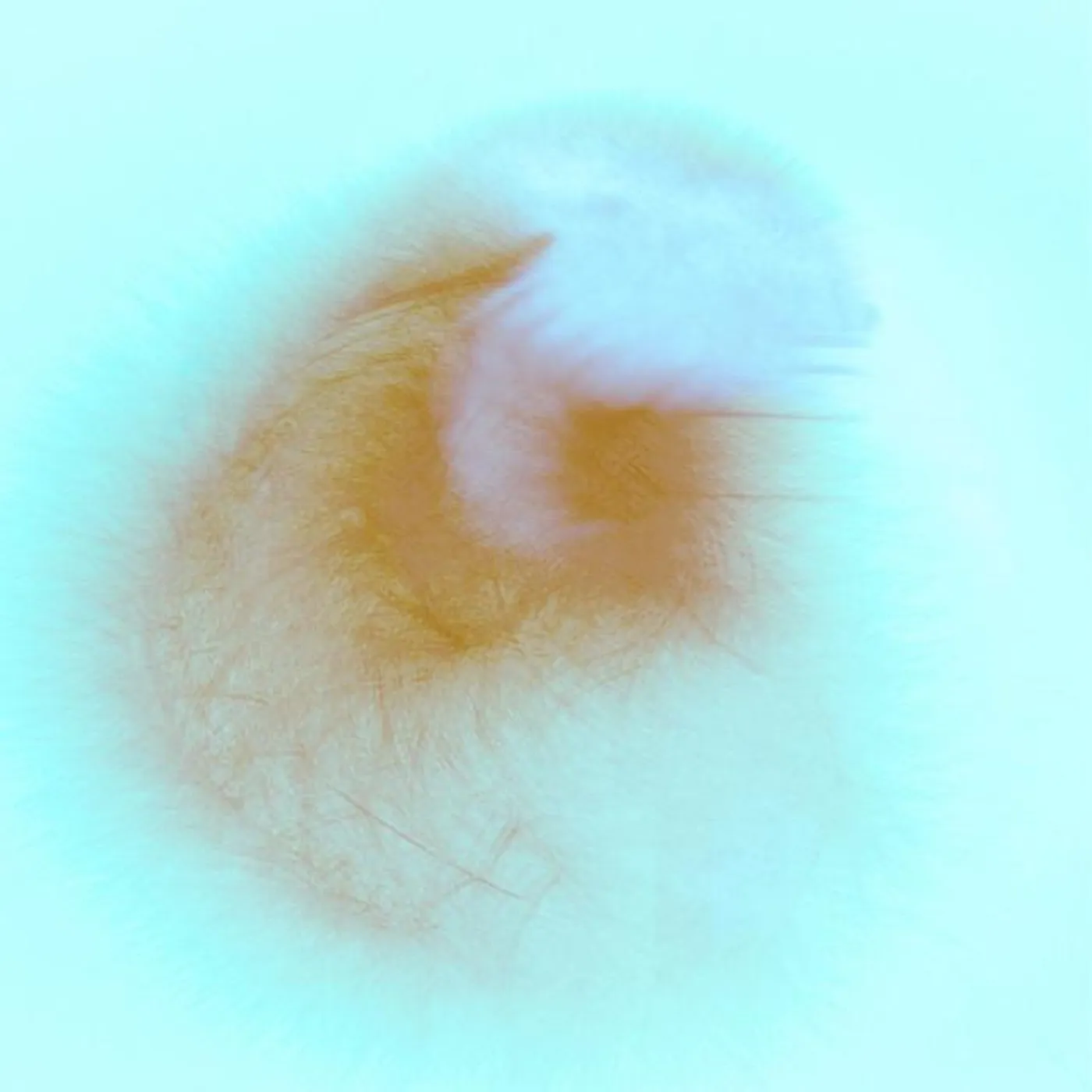 Oli Langford Brand Page