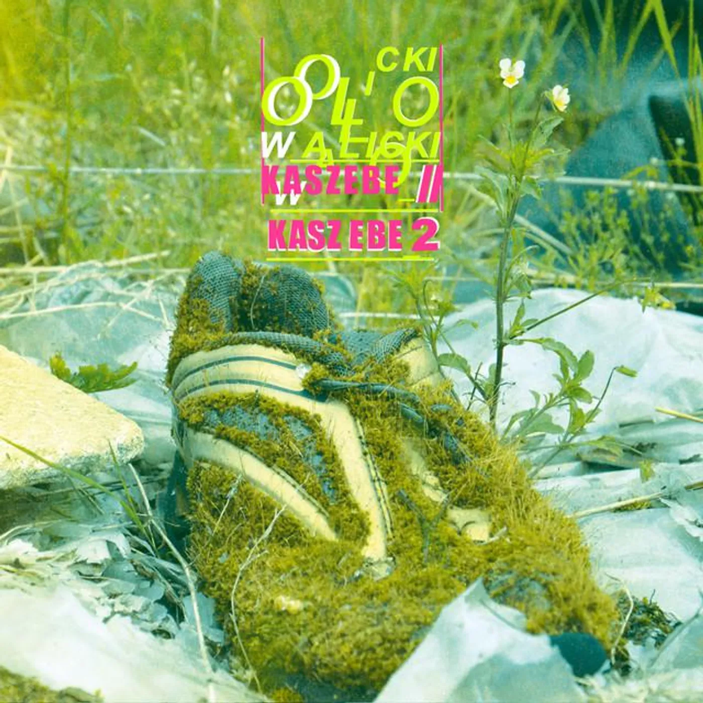 Olo Walicki Brand Page