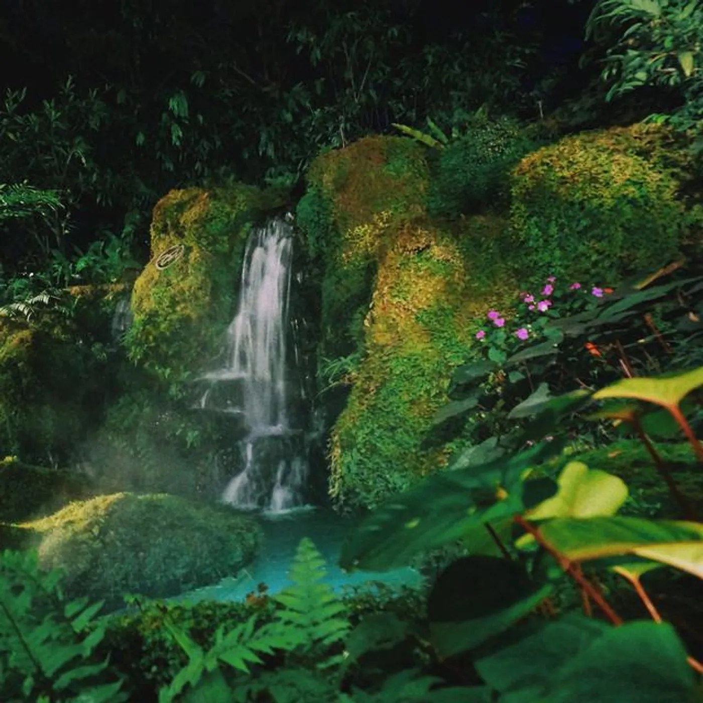 Olof Dahlström Recordings