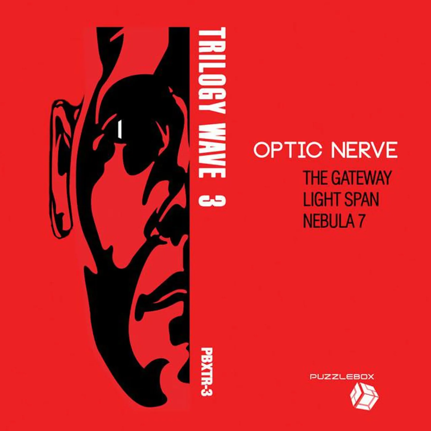 Optic Nerve