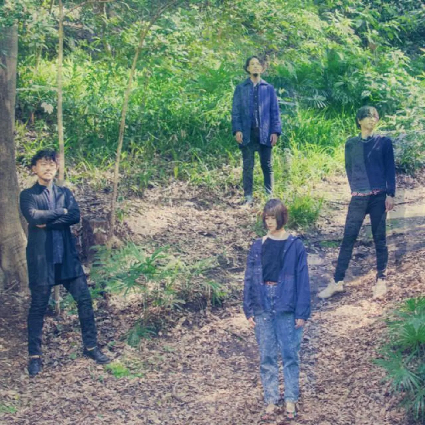 Optloquat Brand Page