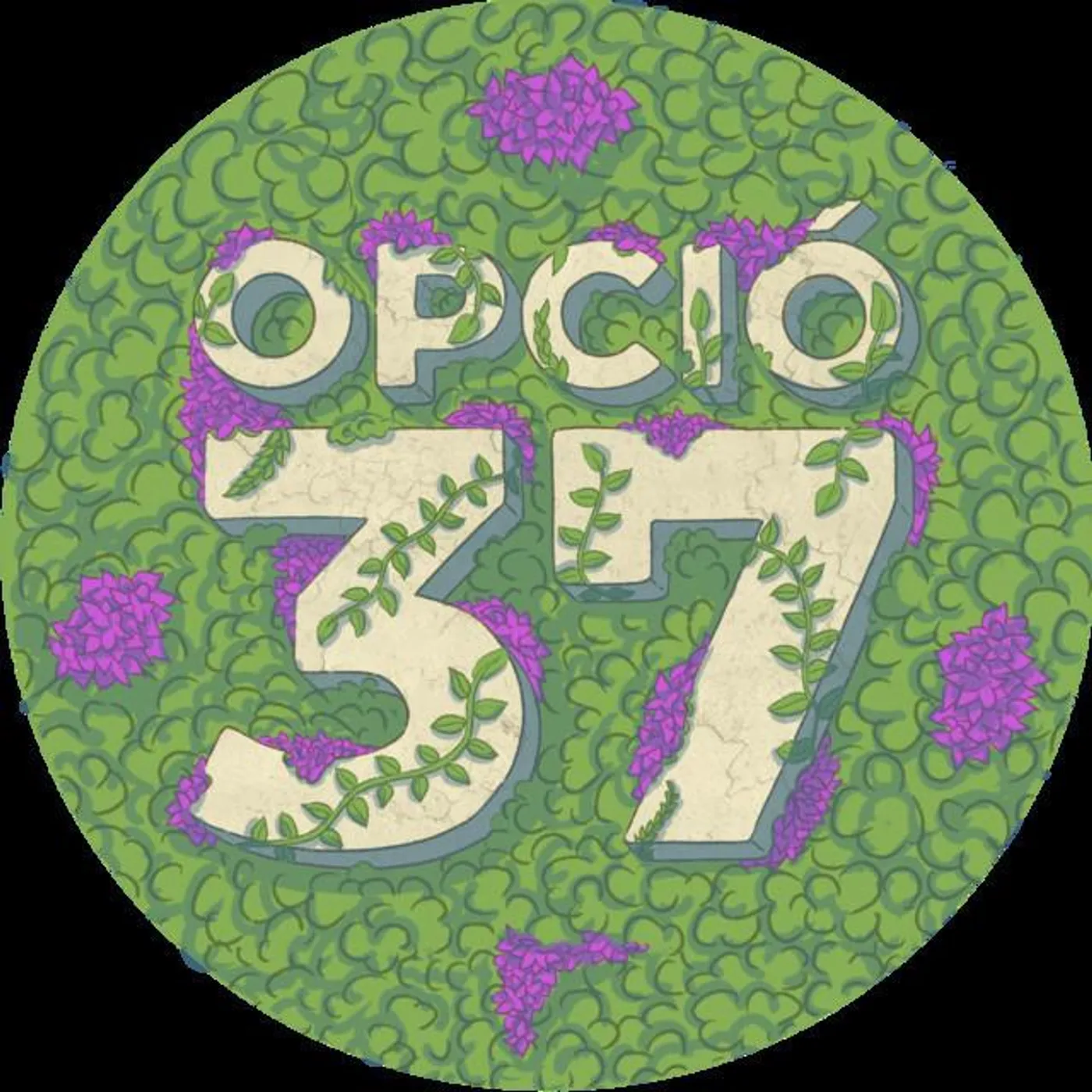 Opció 37 Brand Page