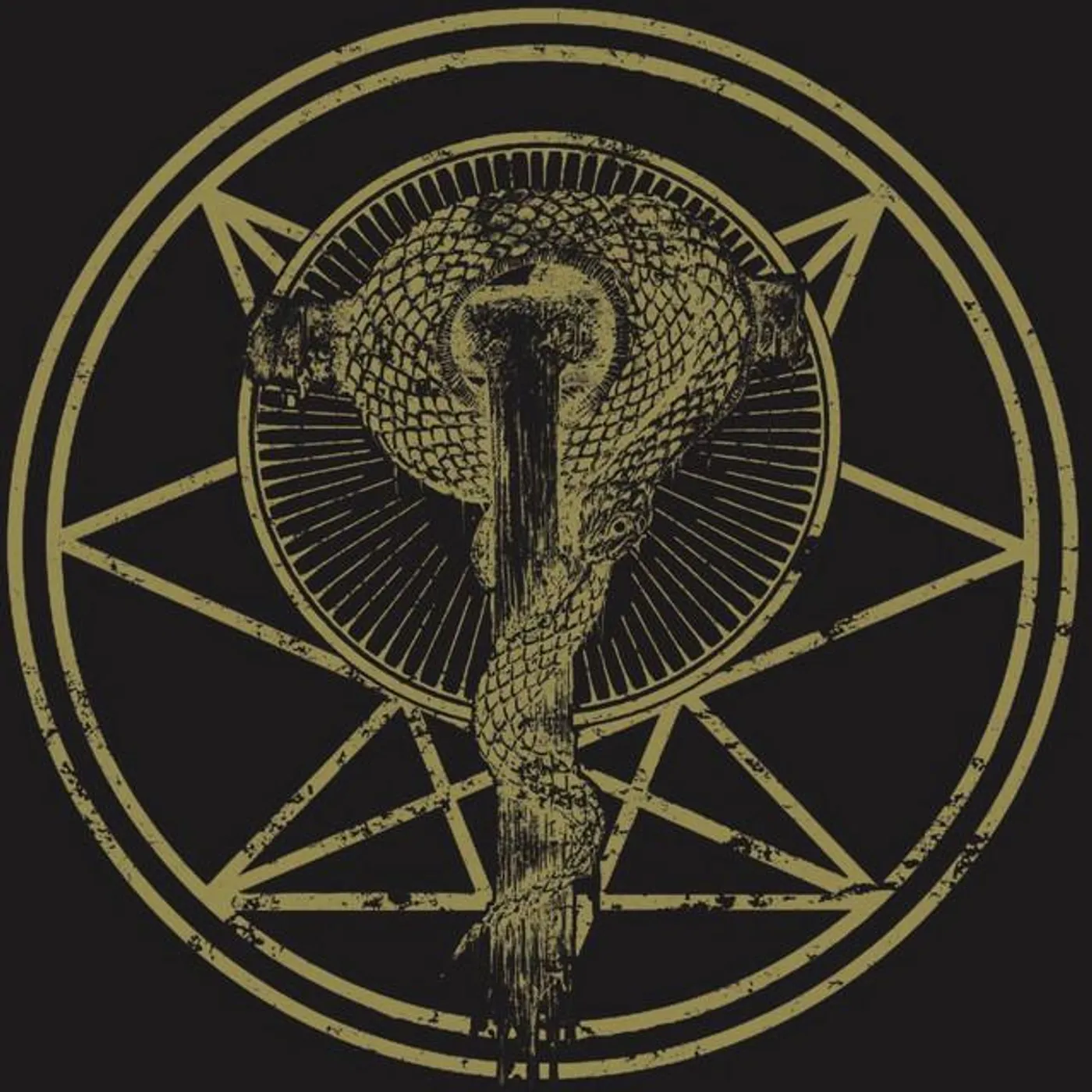 Orthodoxy Brand Page