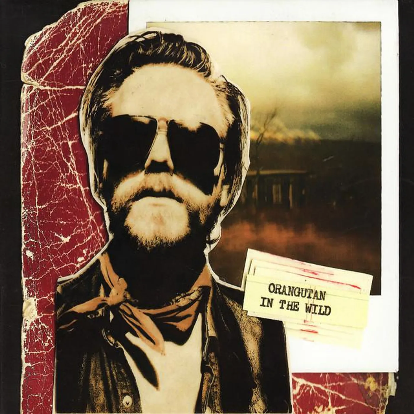 Orangutan Brand Page