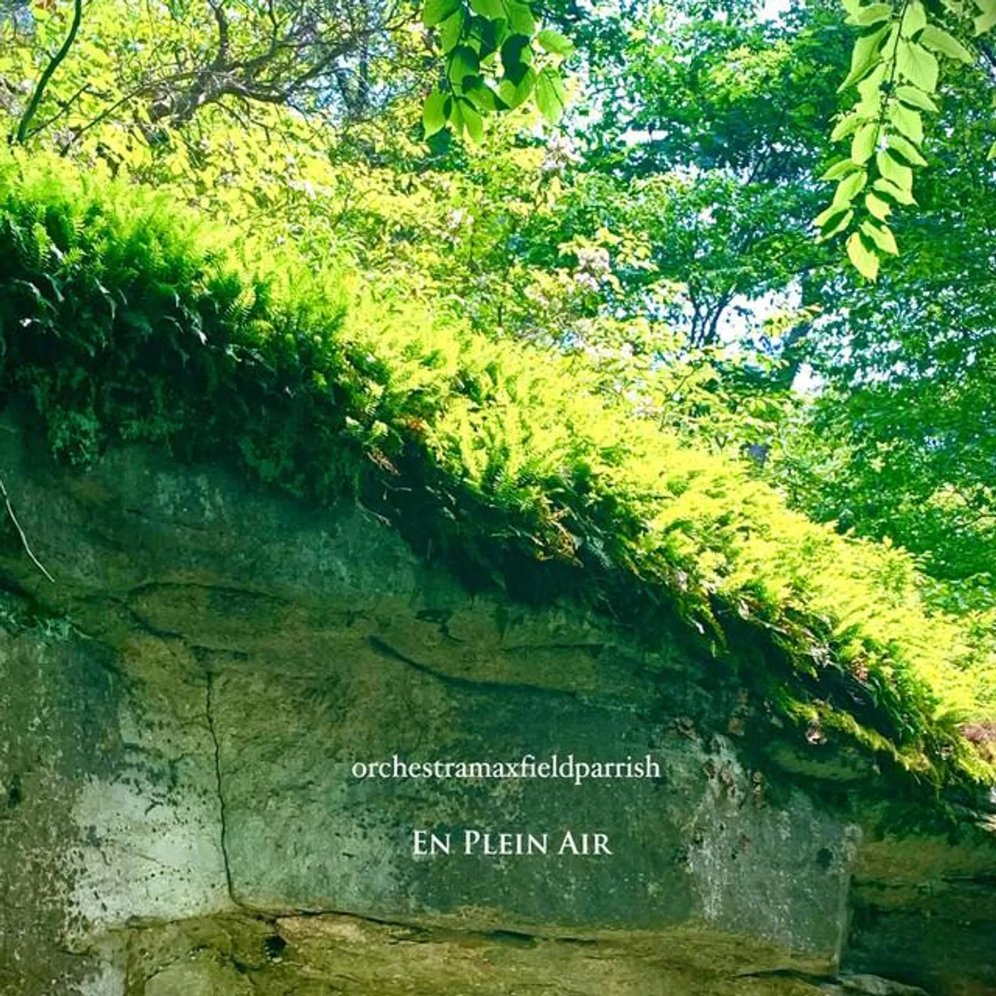 Orchestramaxfieldparrish