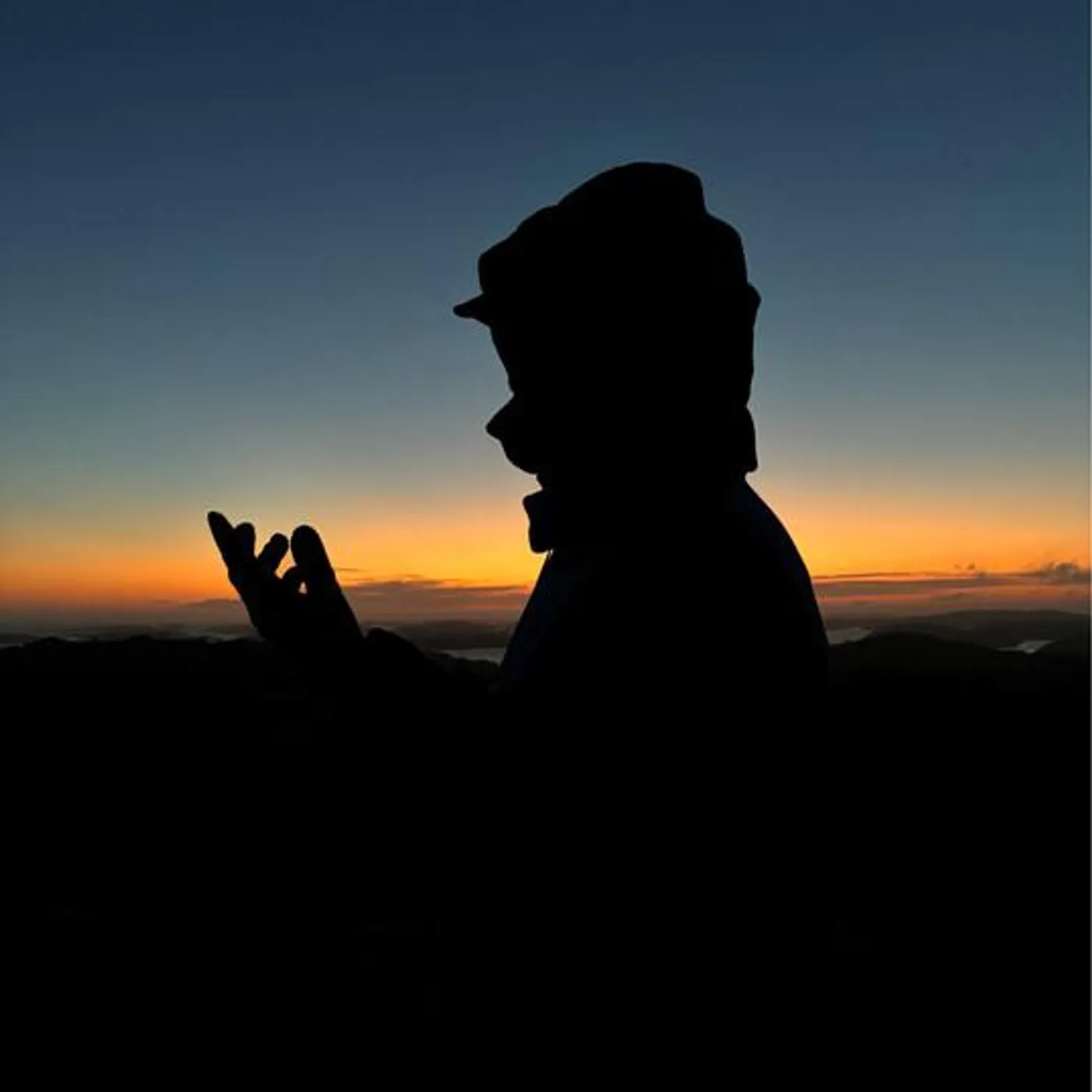 Organism 12 Brand Page