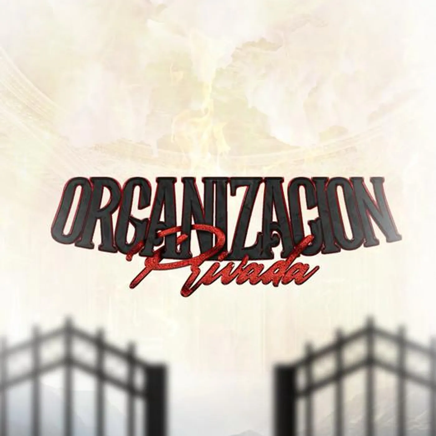 Organizacion Privada