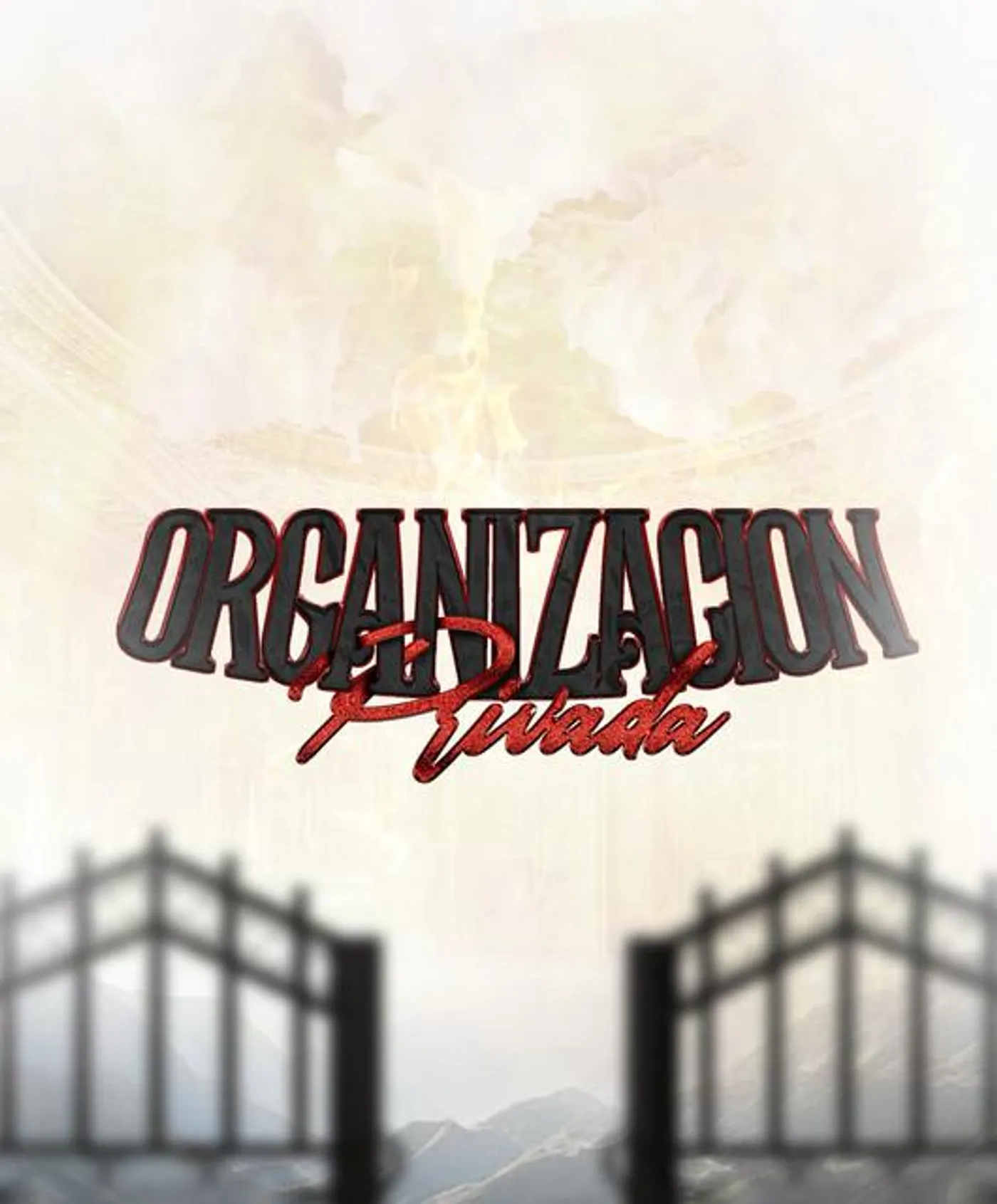 Organizacion Privada