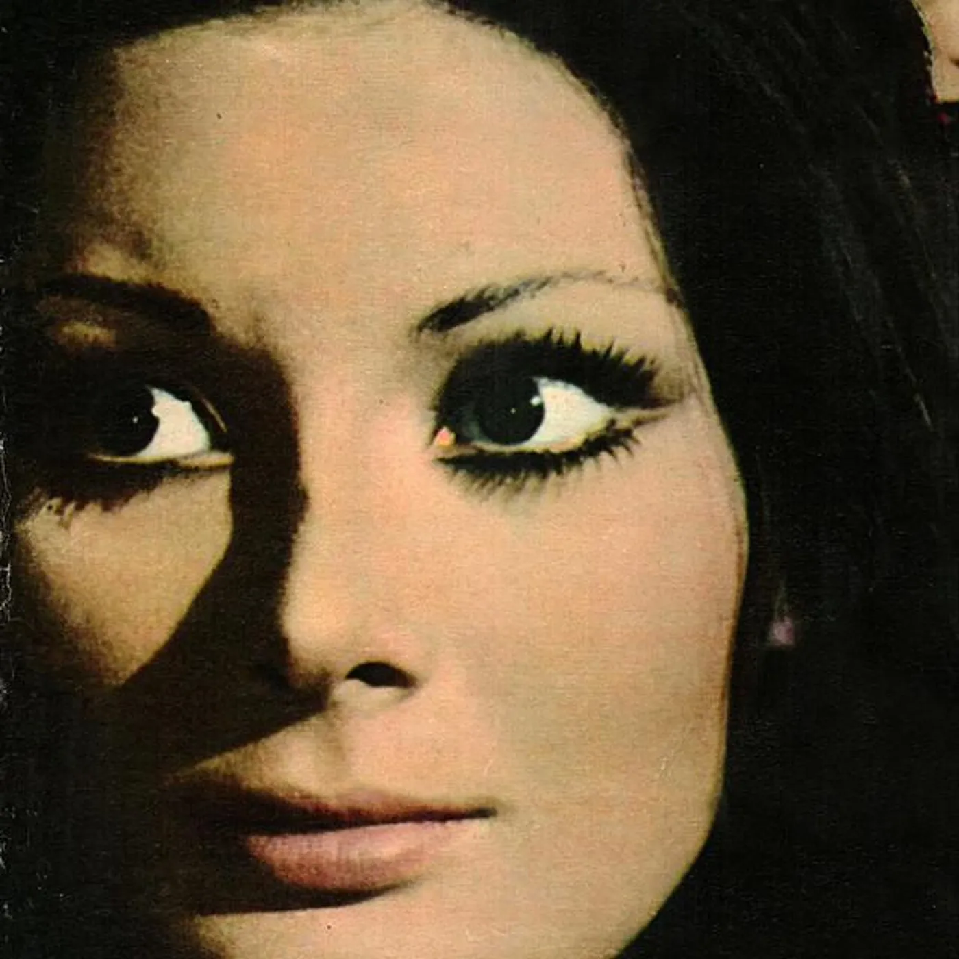 Orgasmo Sonore Brand Page