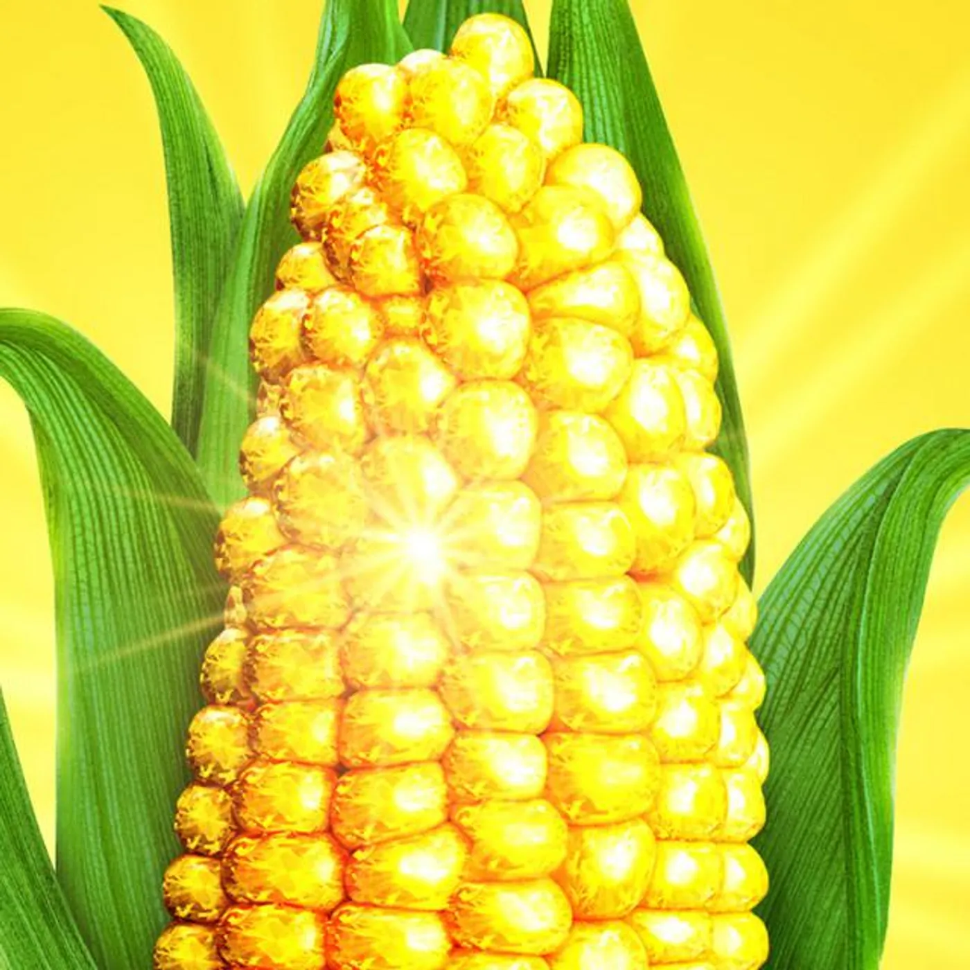 Original Broadway Cast of Shucked Brand Page