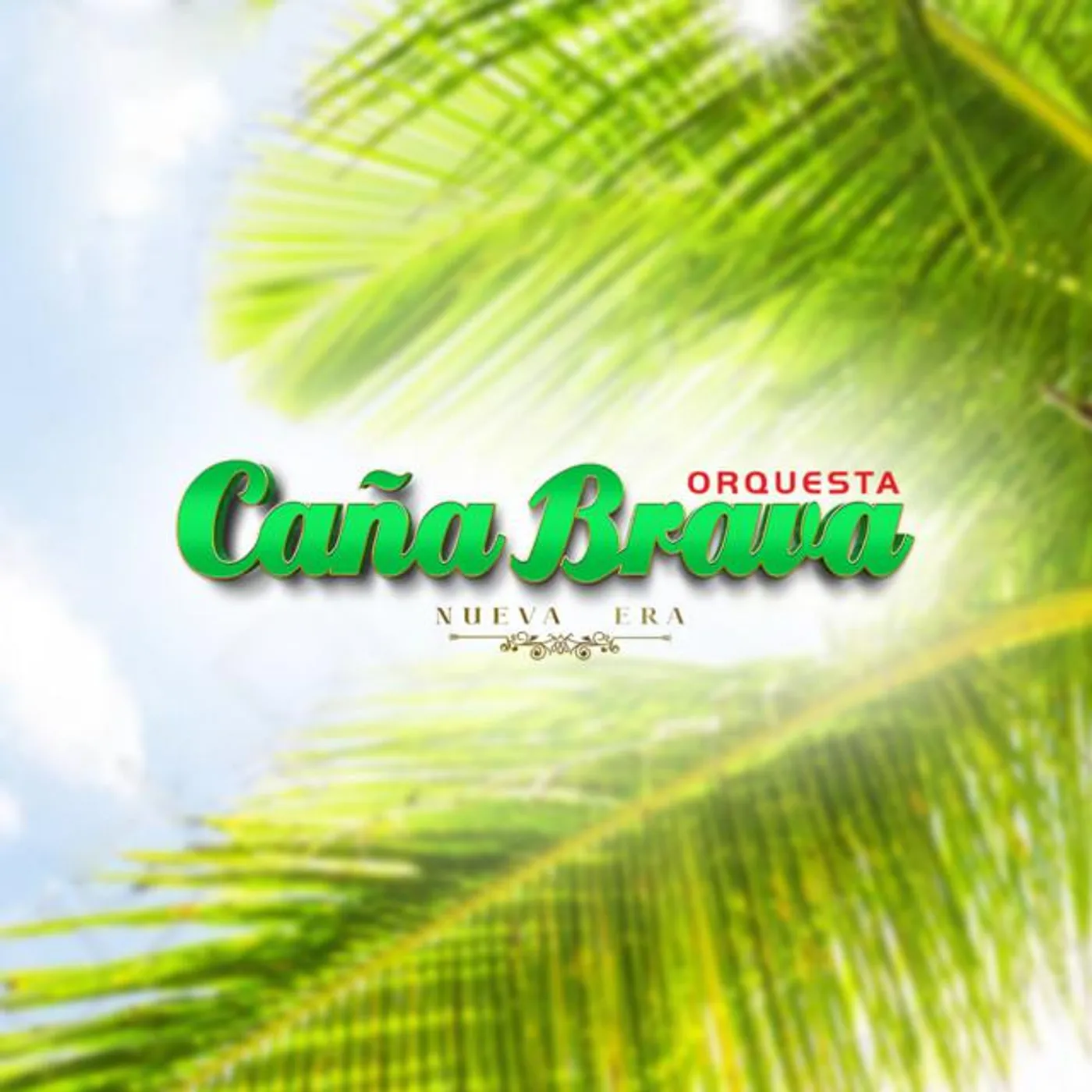 Orquesta Caña Brava