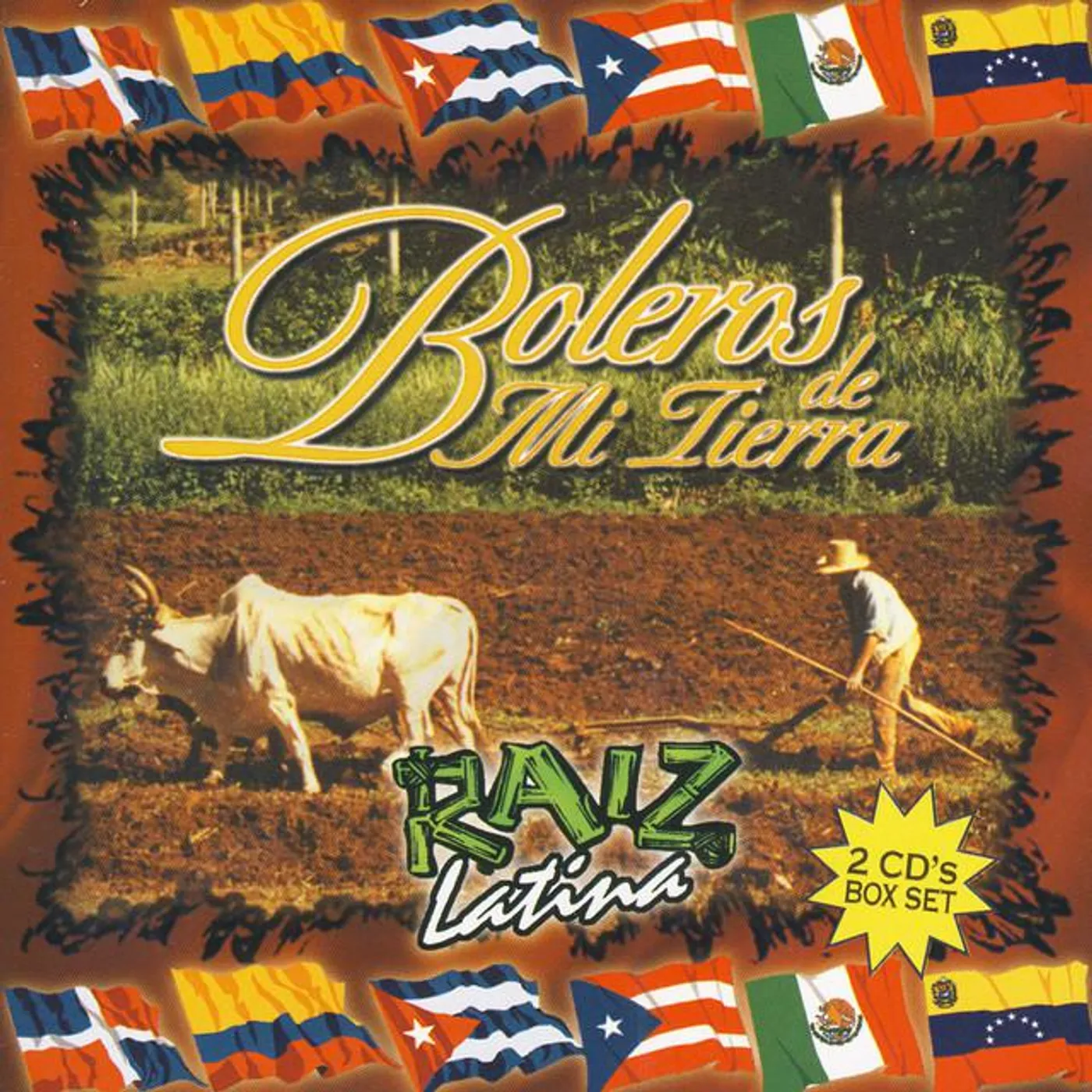 Orquesta Raiz Latina Brand Page