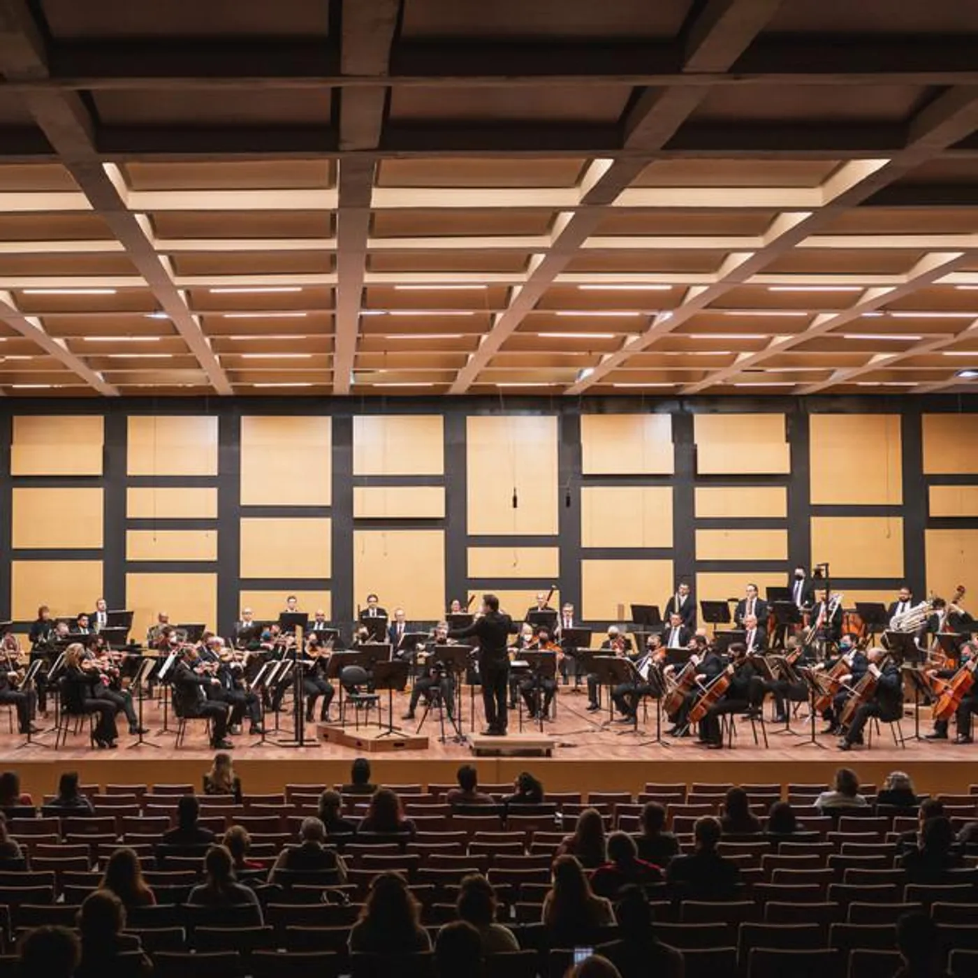 Orquestra Sinfônica de Porto Alegre