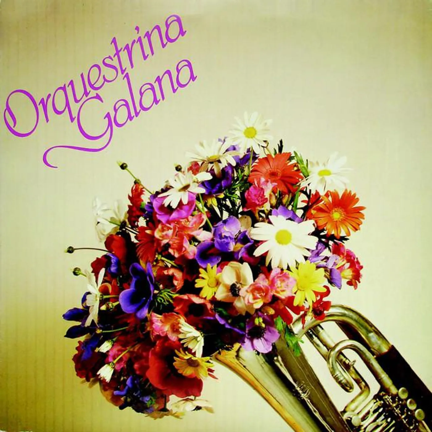 ORQUESTRINA GALANA