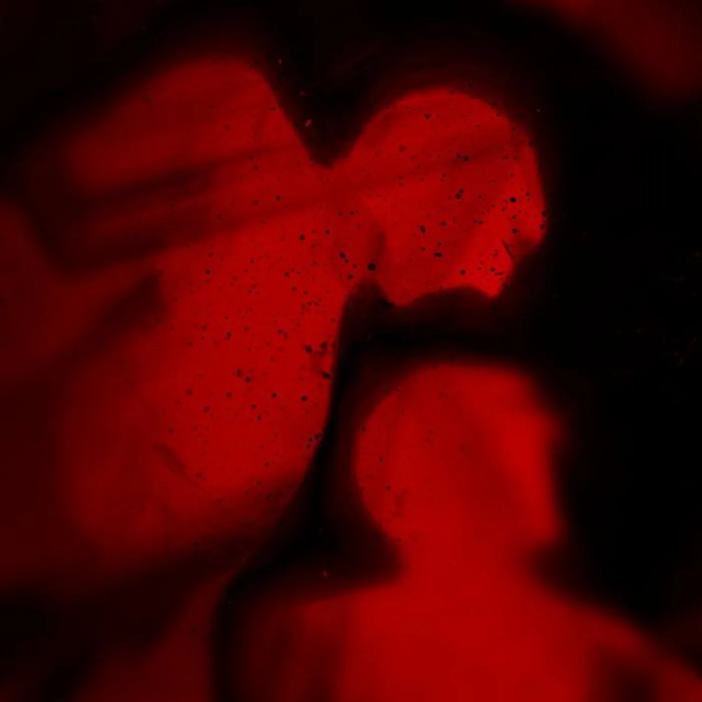 Orsak:Oslo Brand Page