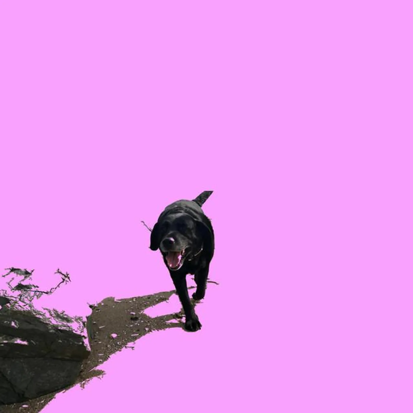 Other Creatures Brand Page