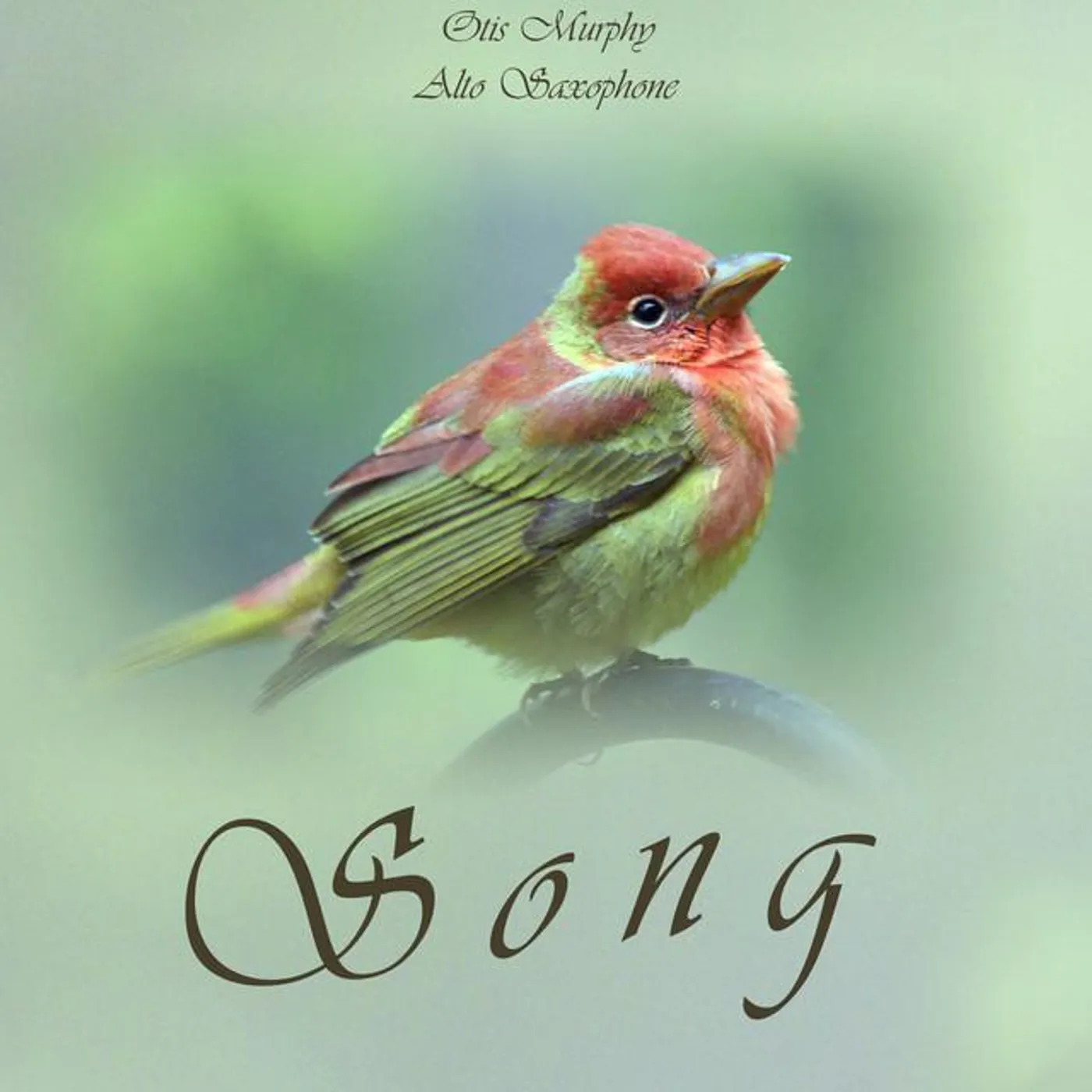 Otis Murphy Brand Page