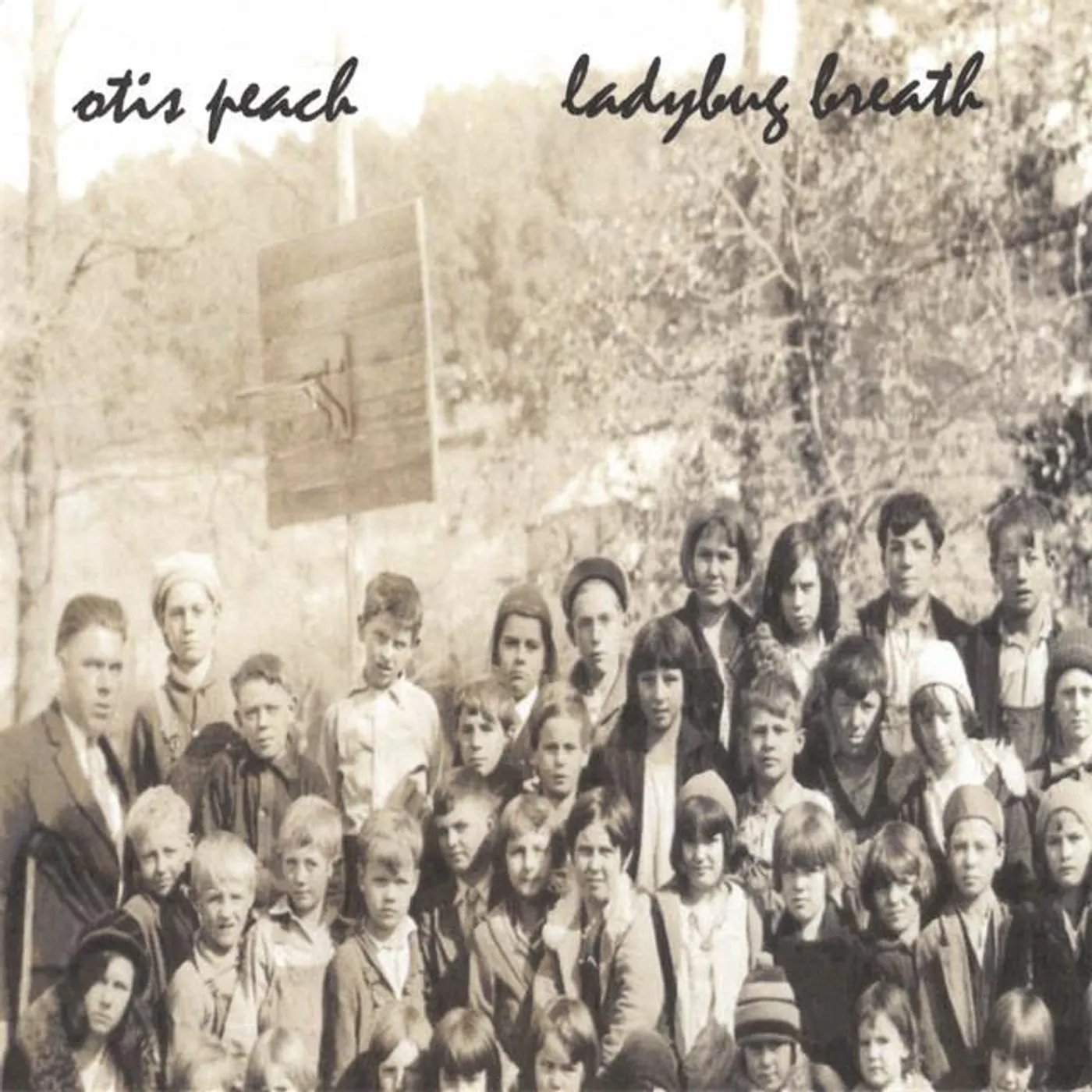 Otis Peach Brand Page