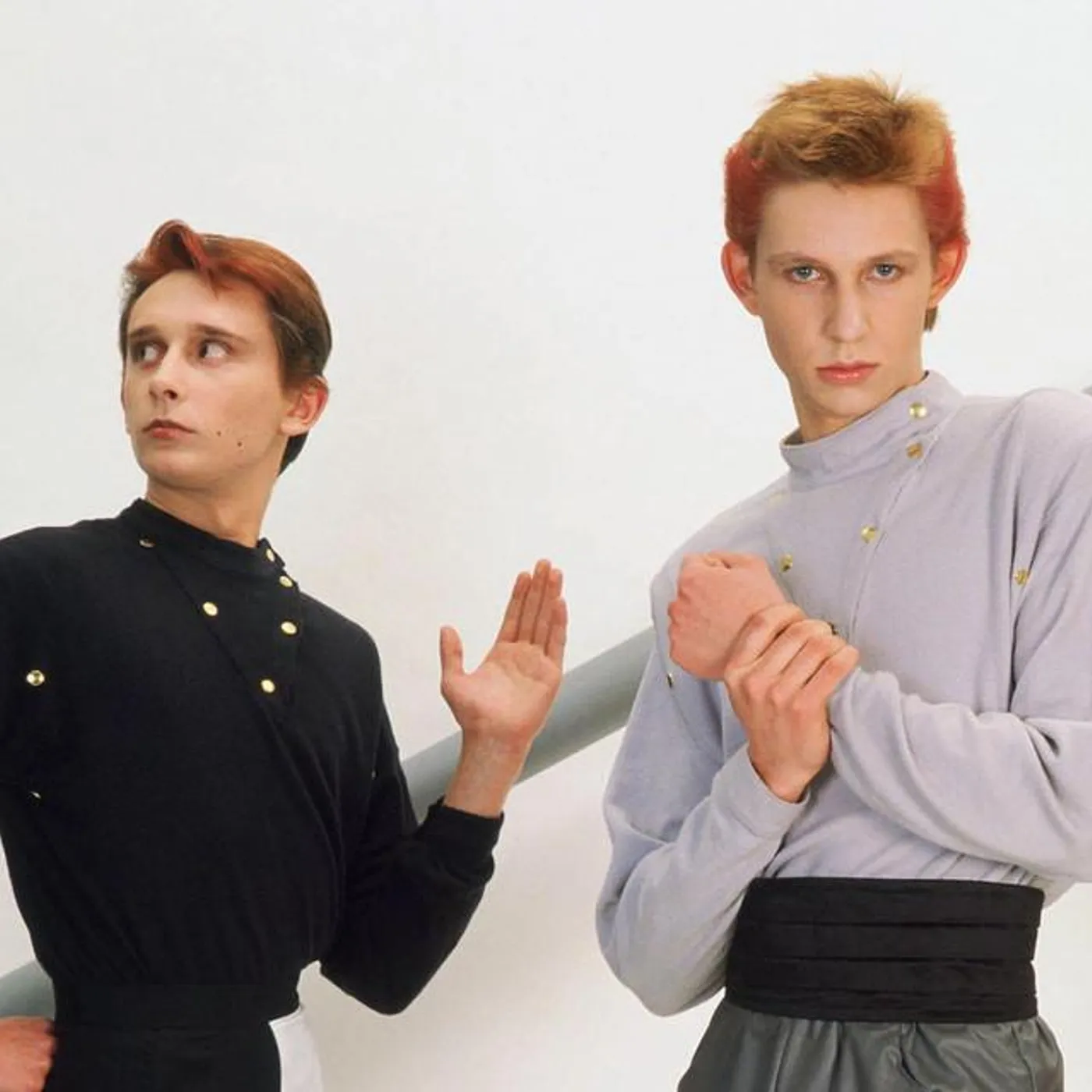 Oviformia SCI Brand Page