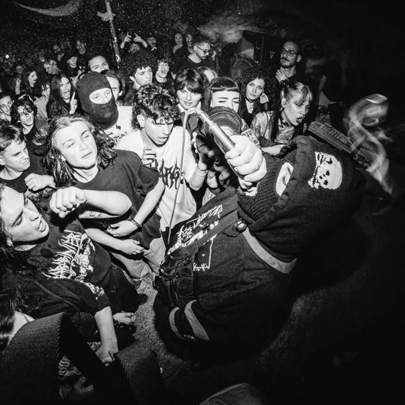 Ozone Dehumanizer Brand Page