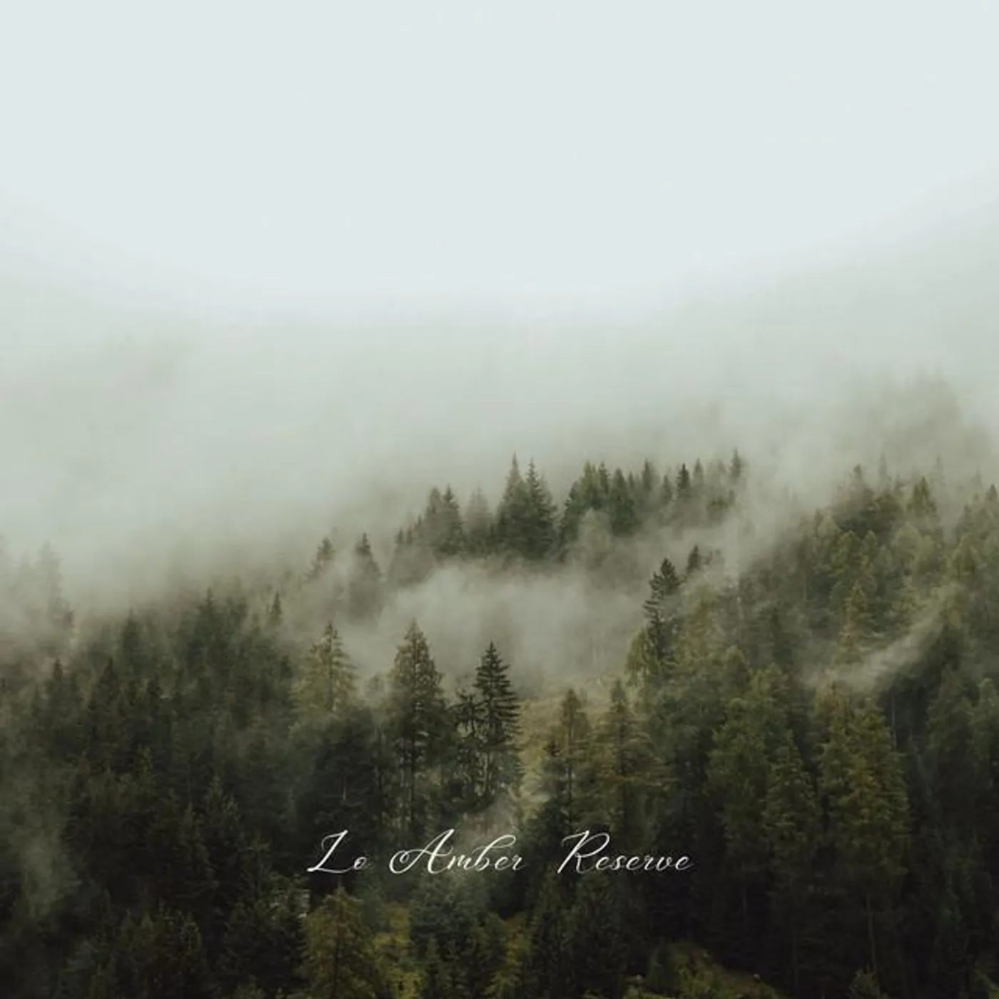 Lo Amber