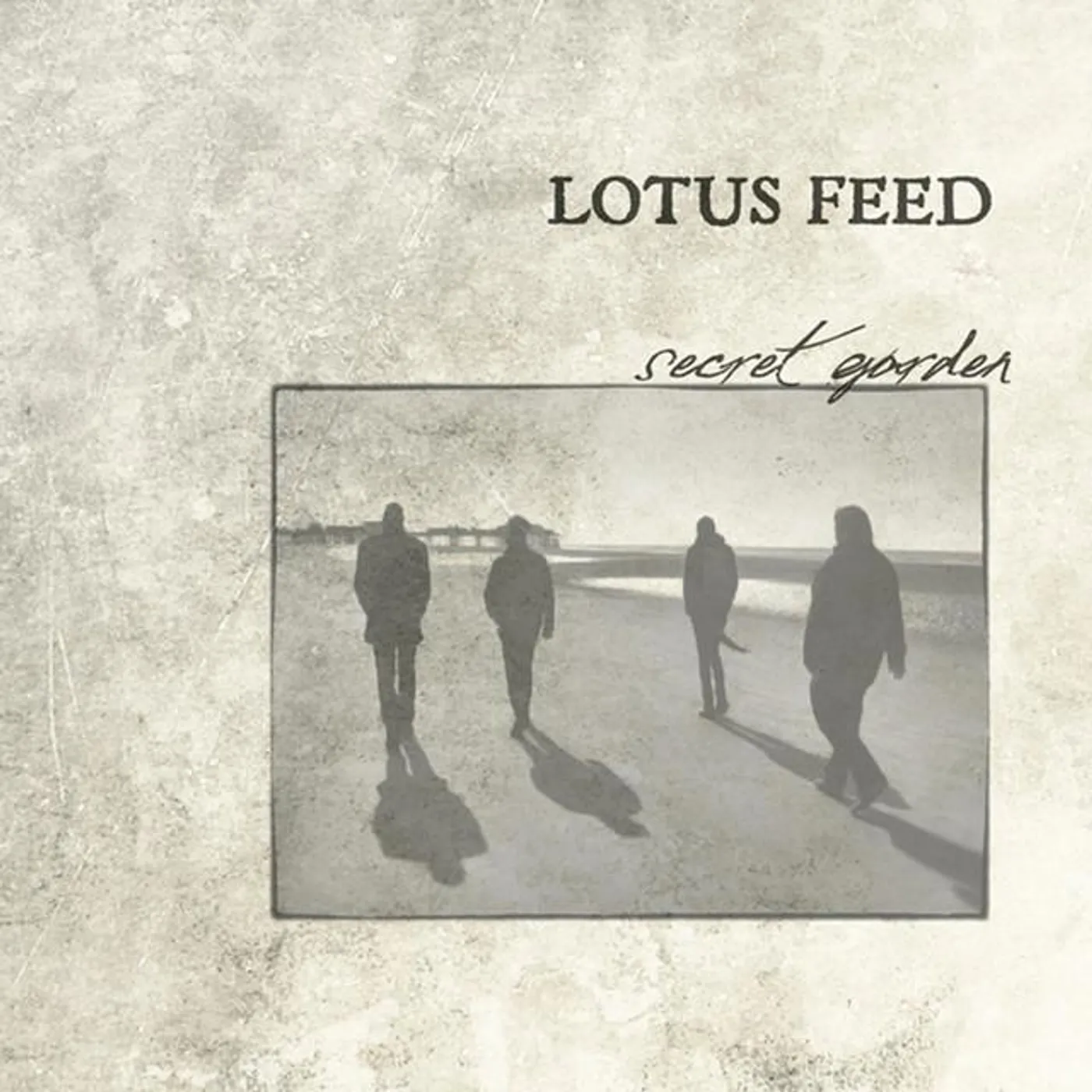 Lotus Feed