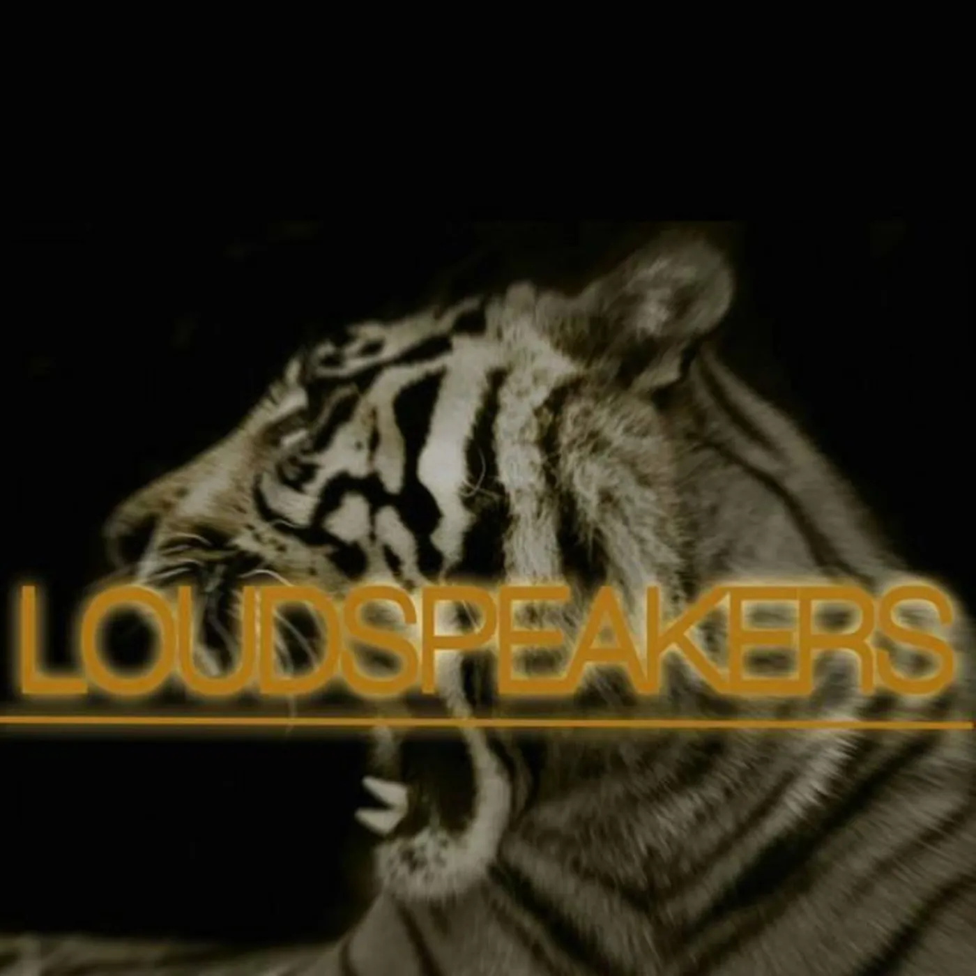 Loudspeakers