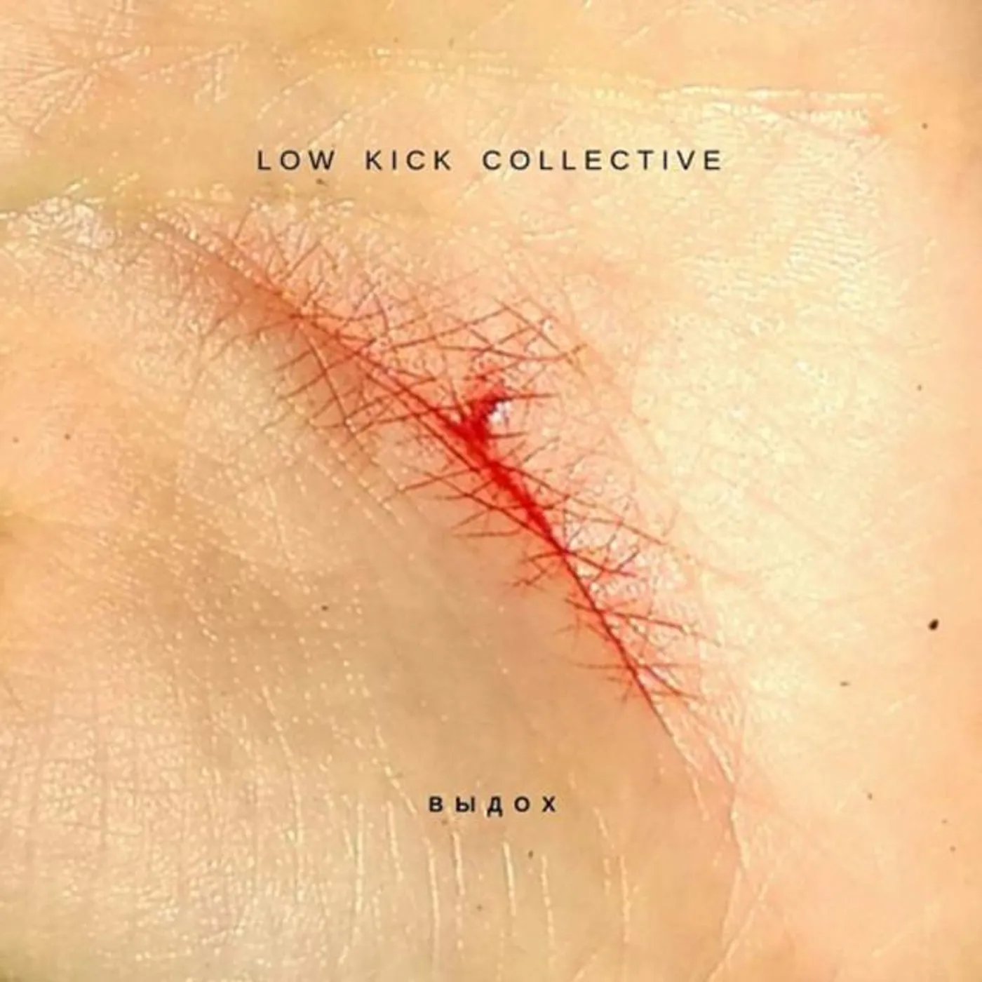 Low Kick Collective