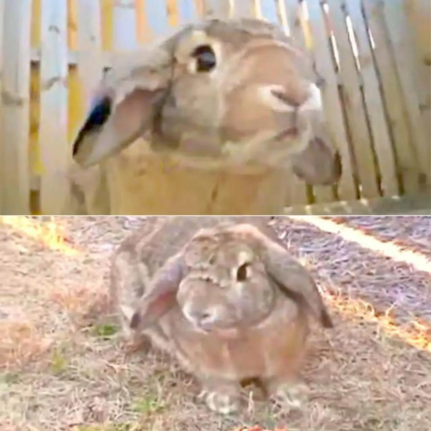 Logan Clark Brand Page