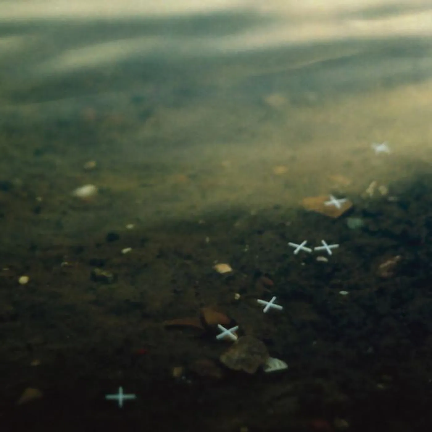 Logreybeam Brand Page