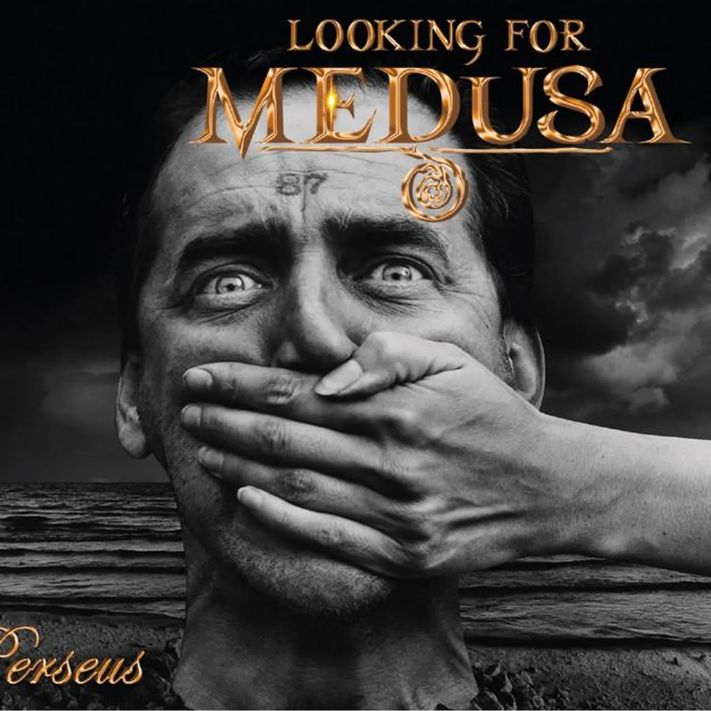 Looking for Medusa Brand Page