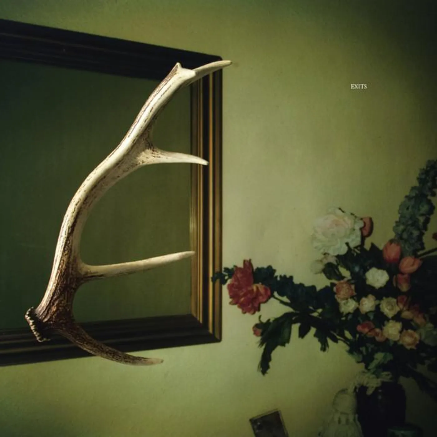 Loops Haunt Brand Page