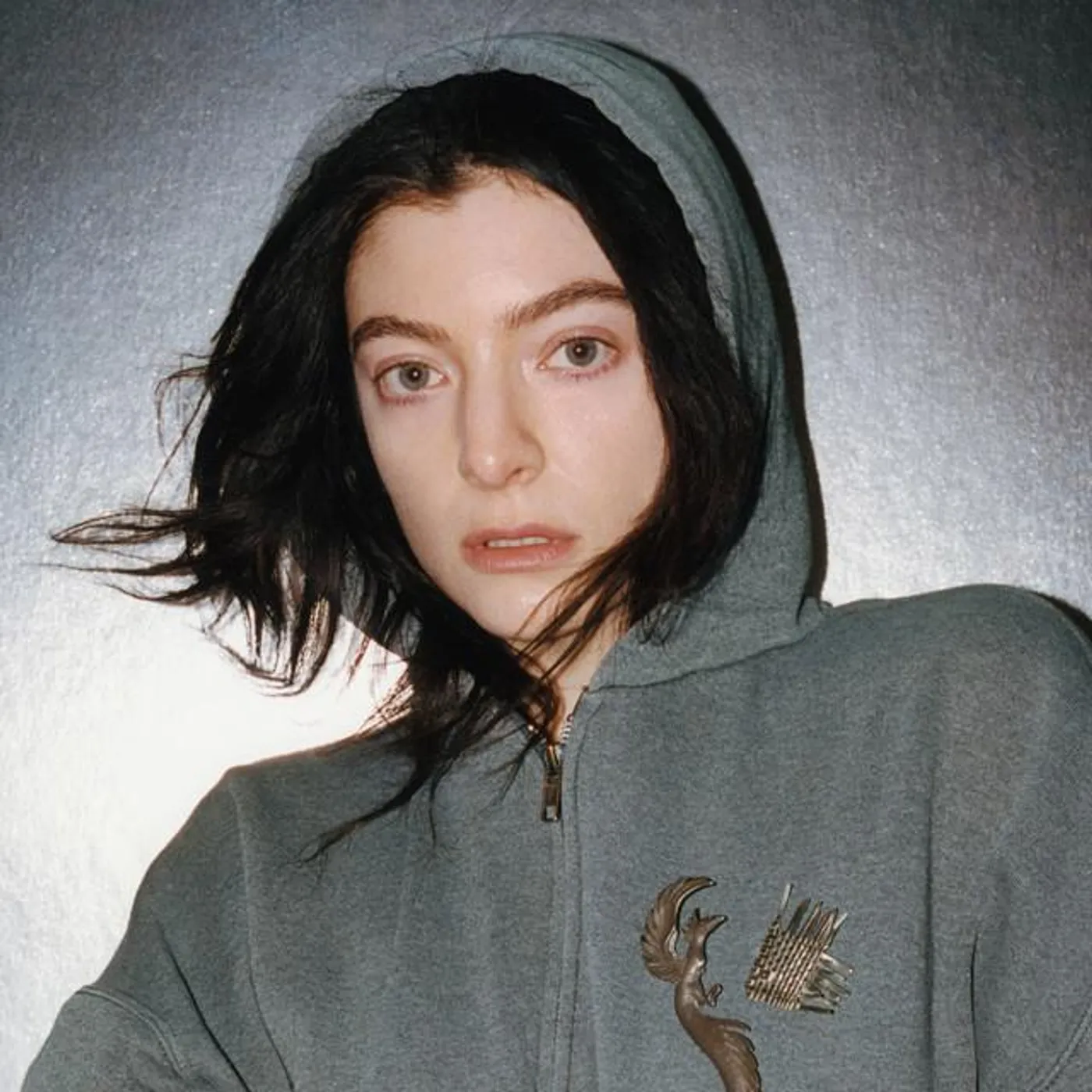 Lorde Brand Page