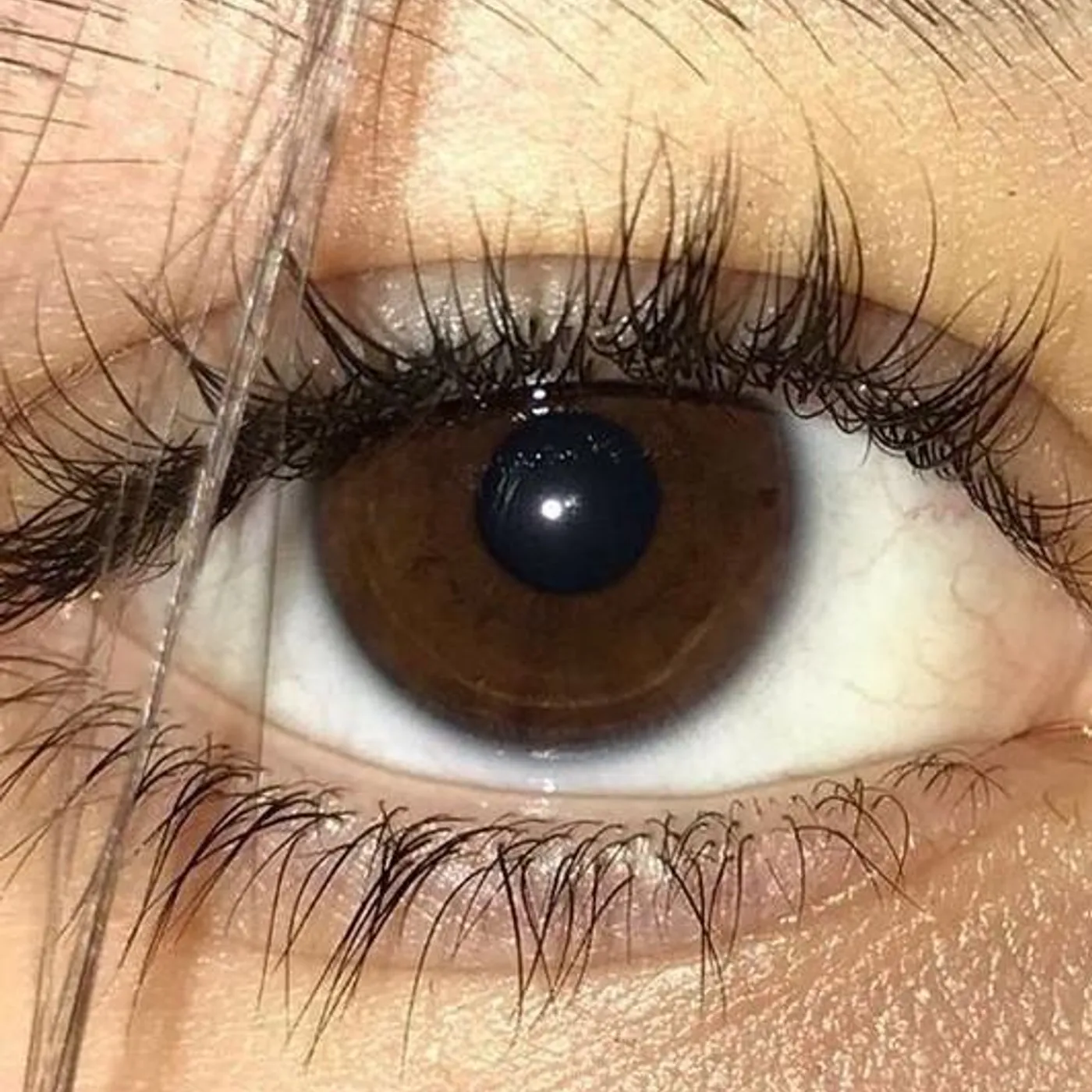 Los Chichos Brand Page