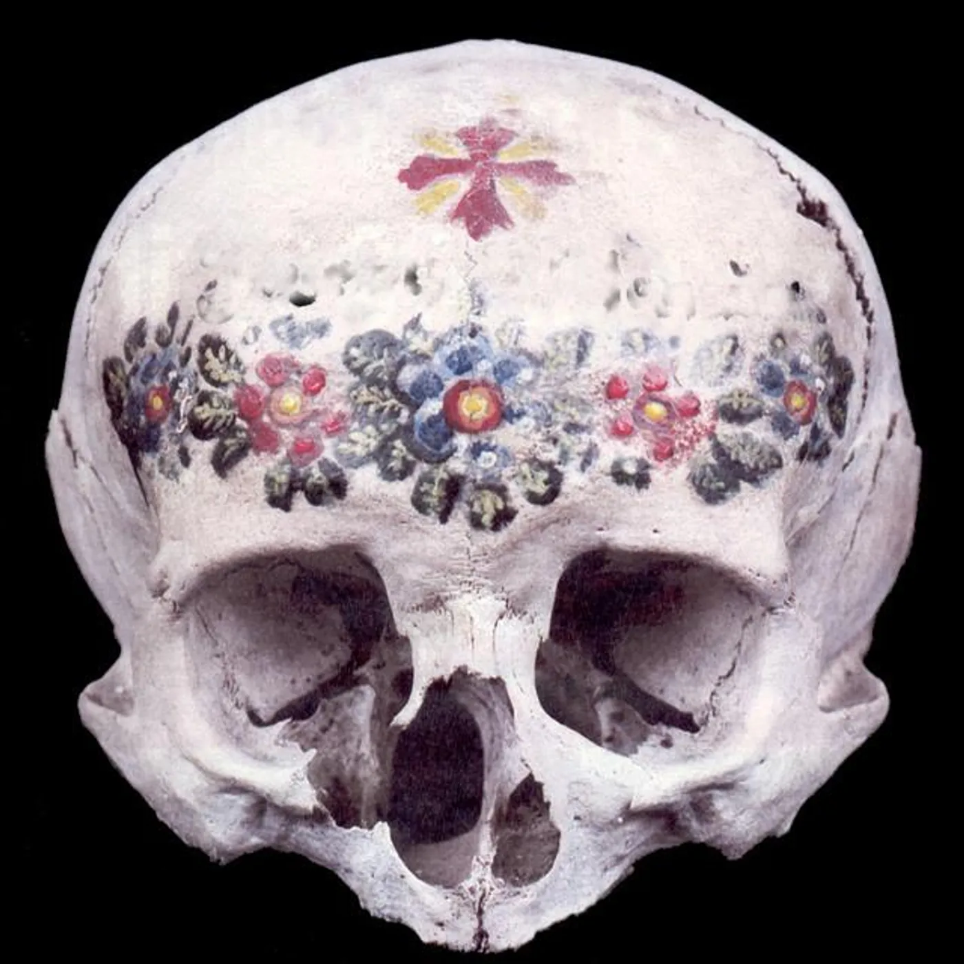 Los DelTonos Brand Page