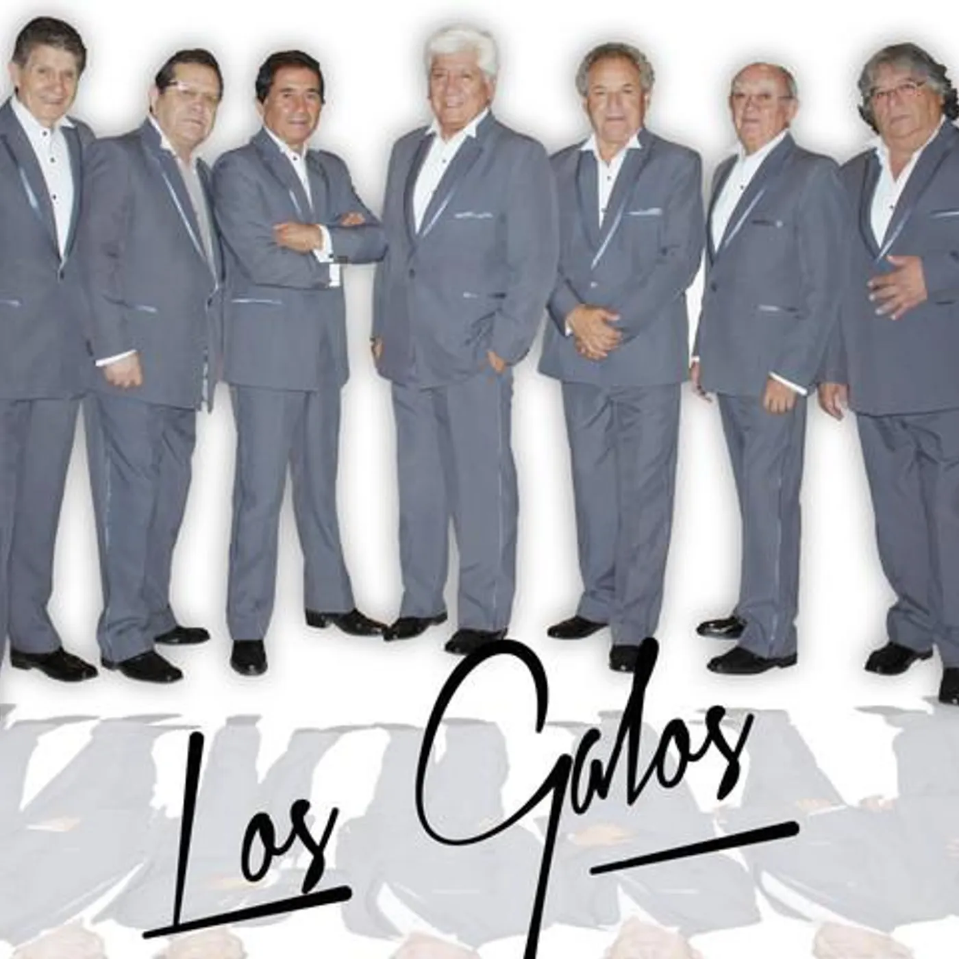 Los Galos Brand Page