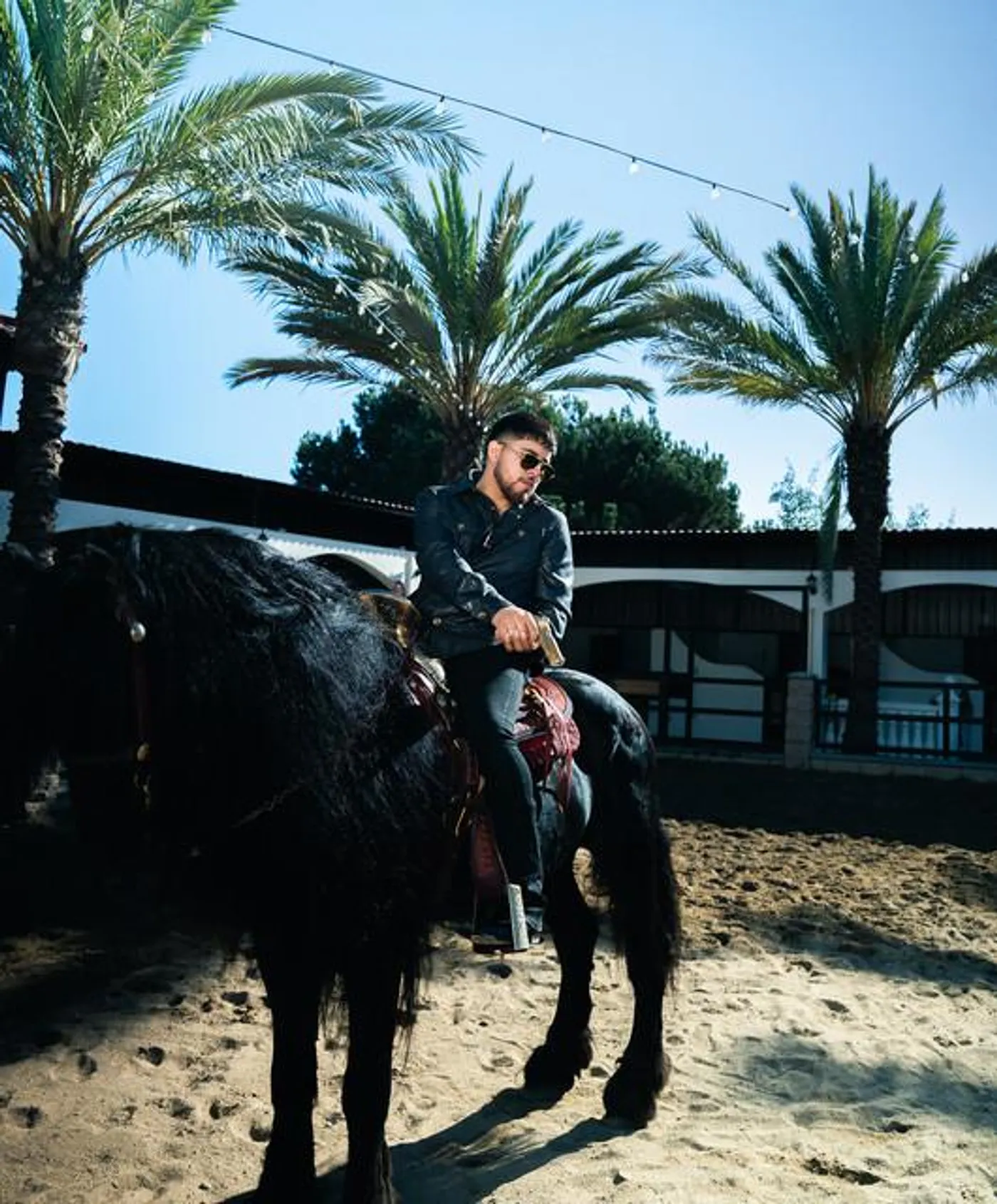 Los Gemelos De Sinaloa