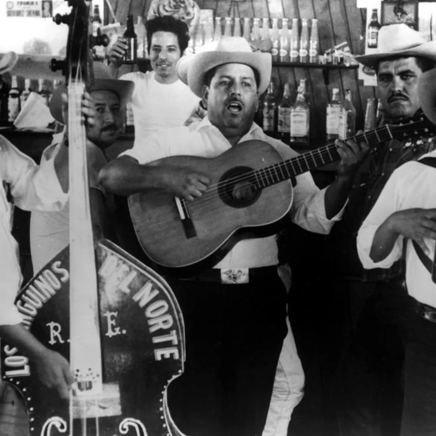 Los Pingüinos Del Norte Brand Page