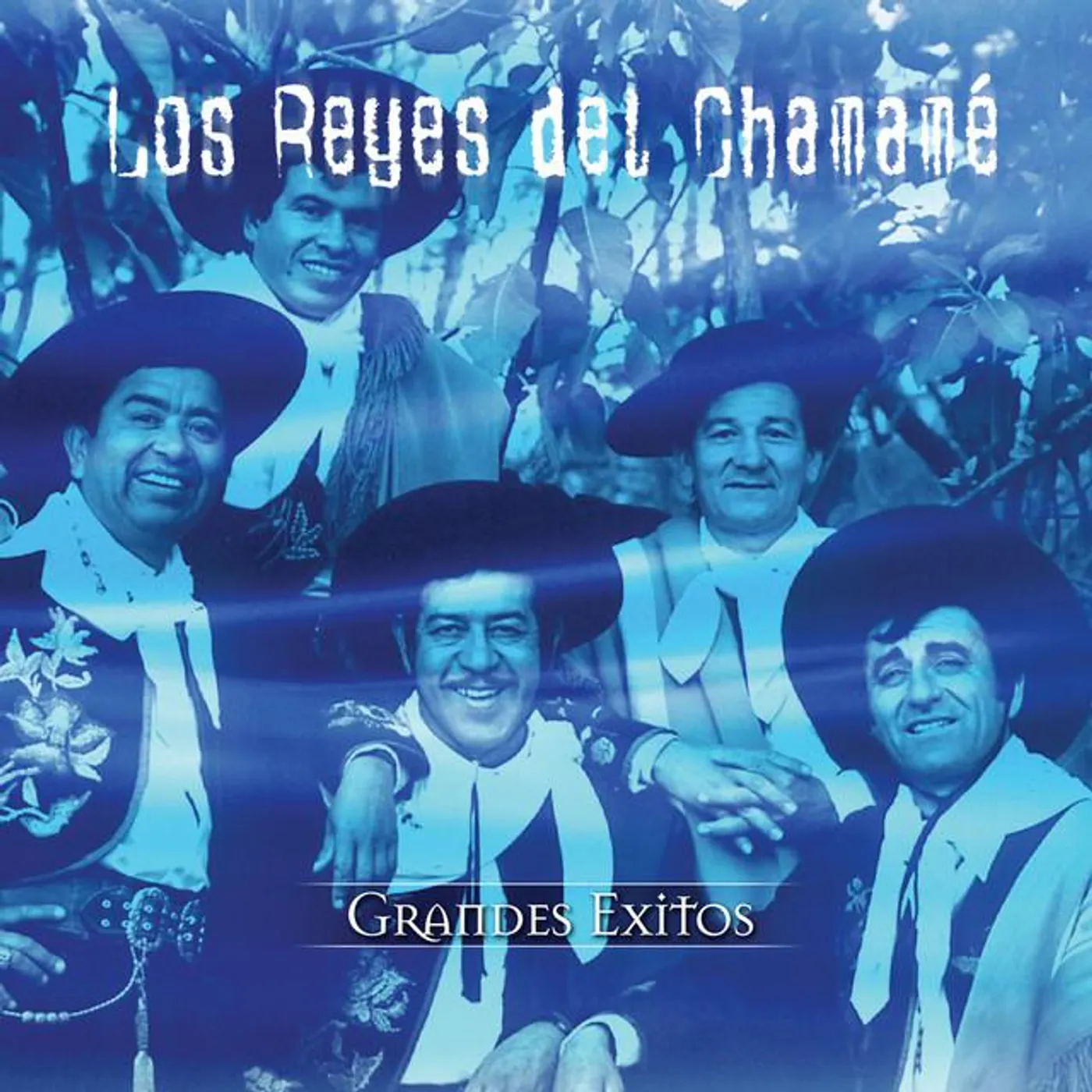 Los Reyes Del Chamame Brand Page