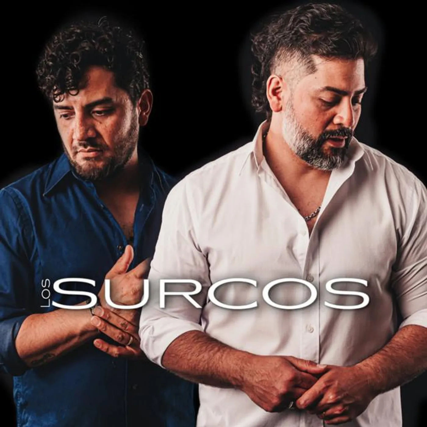 Los Surcos