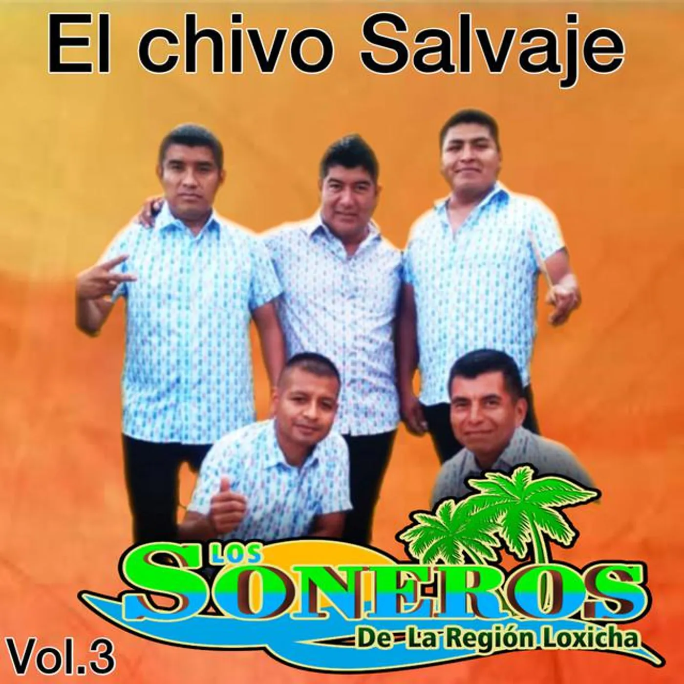 Los Soneros De La Región Loxicha