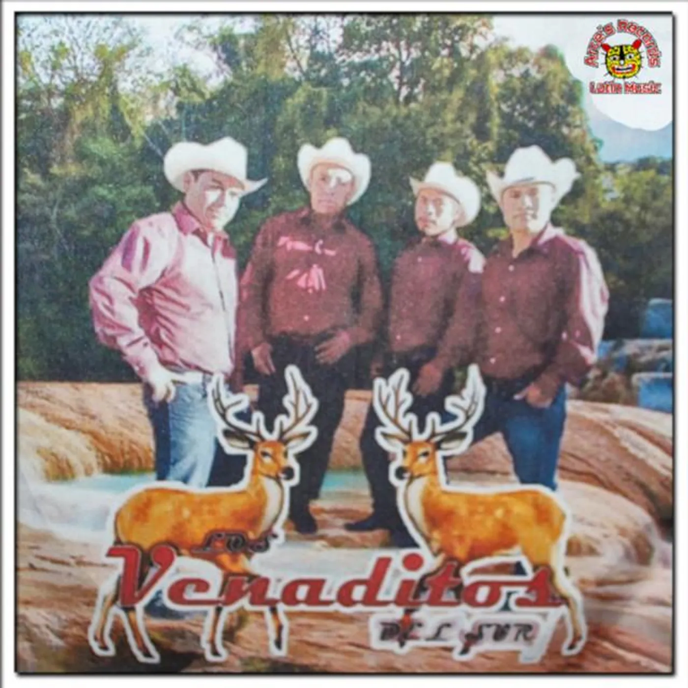 Los Venaditos Del Sur