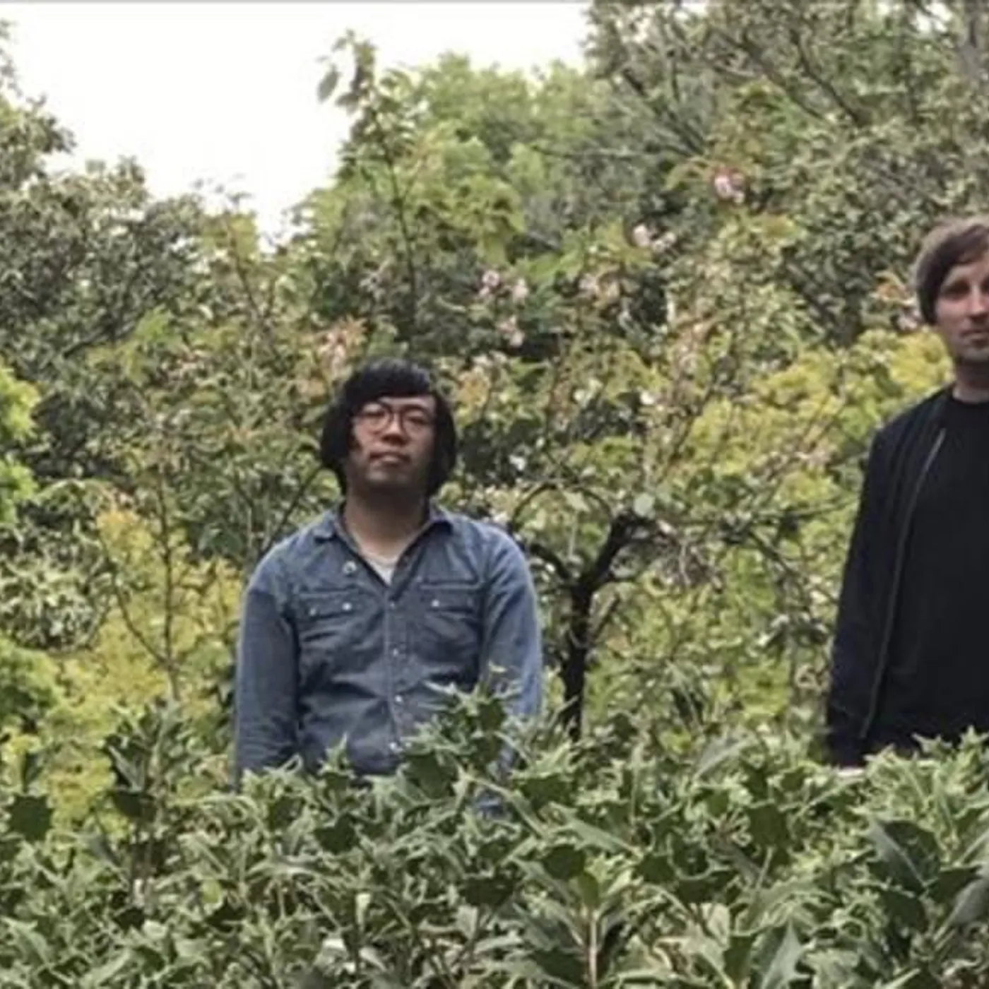 Lost Balloons Brand Page