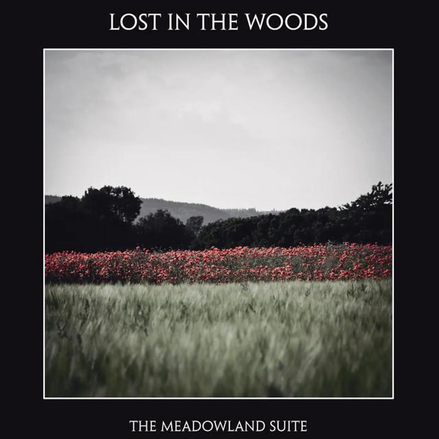 Lost in the Woods Brand Page