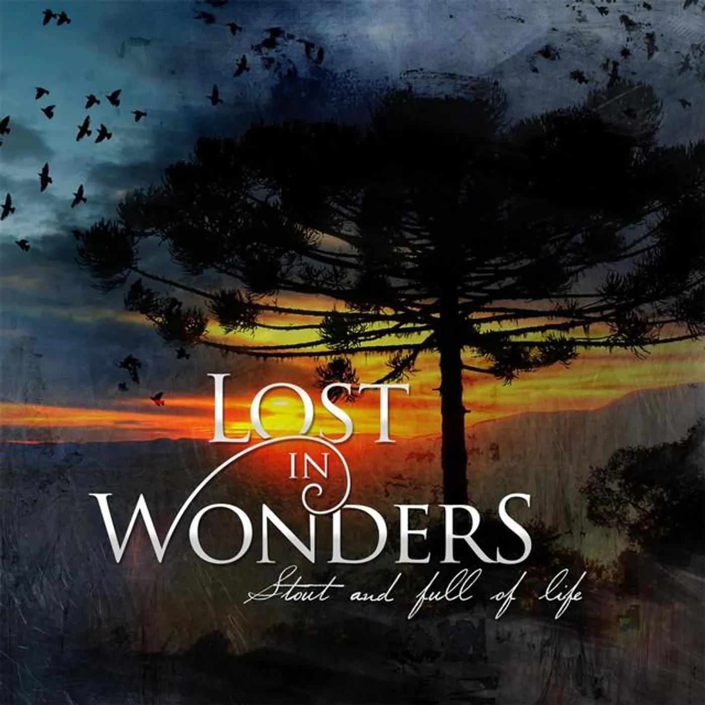 Lost in Wonders Brand Page