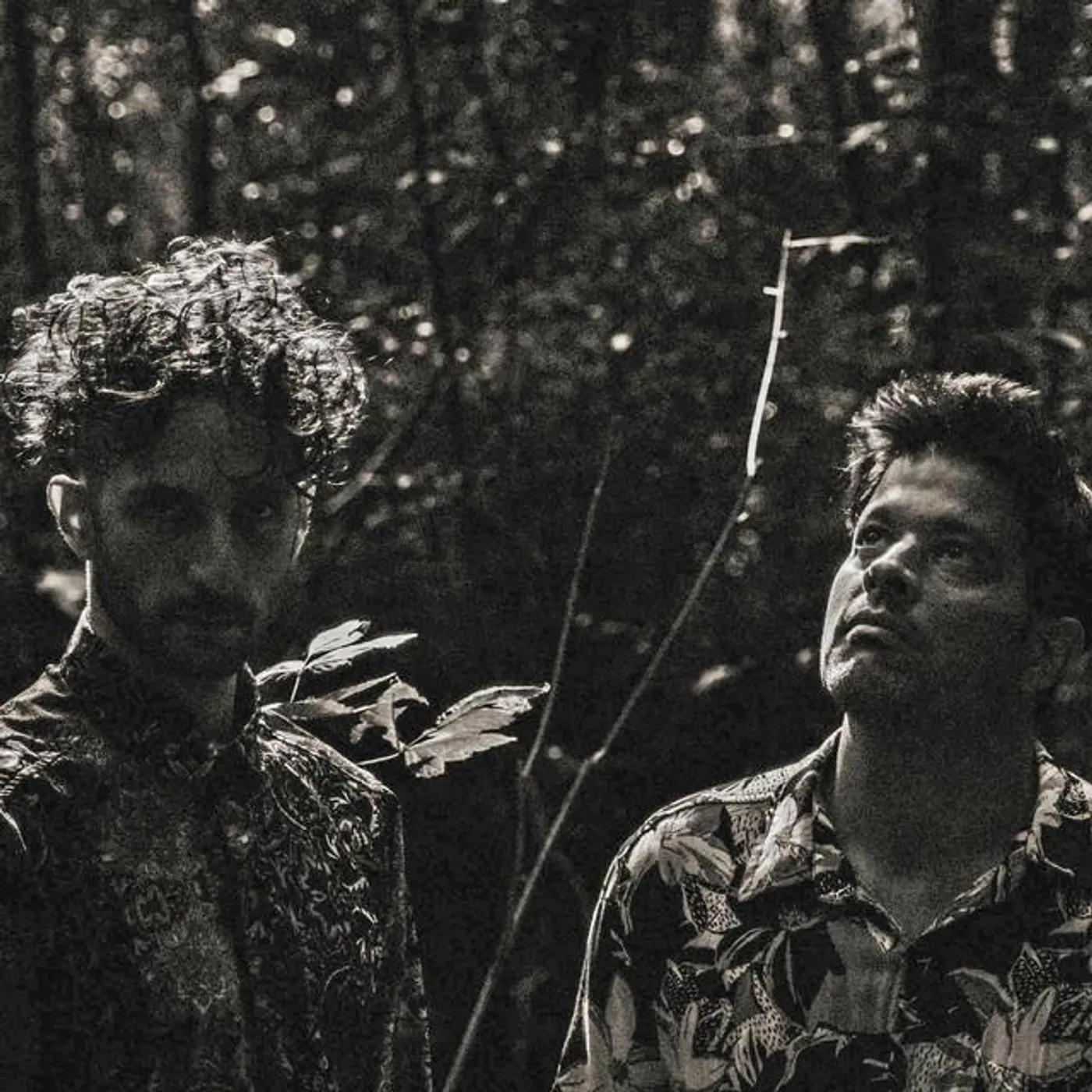 La Danza de las Bestias