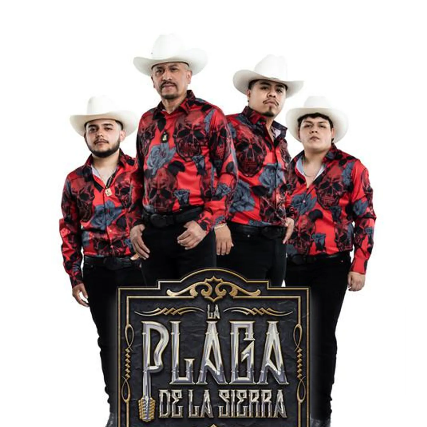 La Plaga De La Sierra