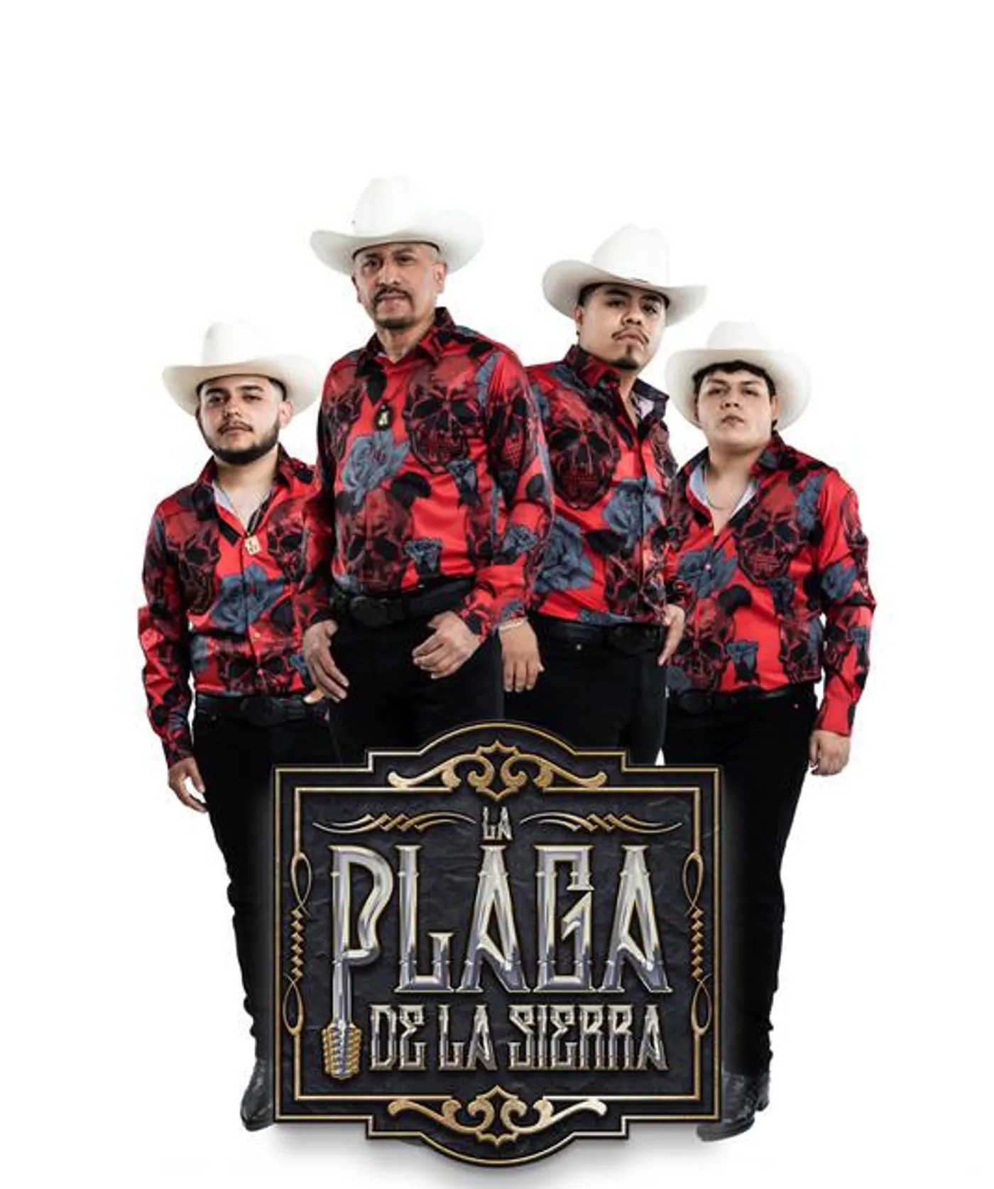 La Plaga De La Sierra