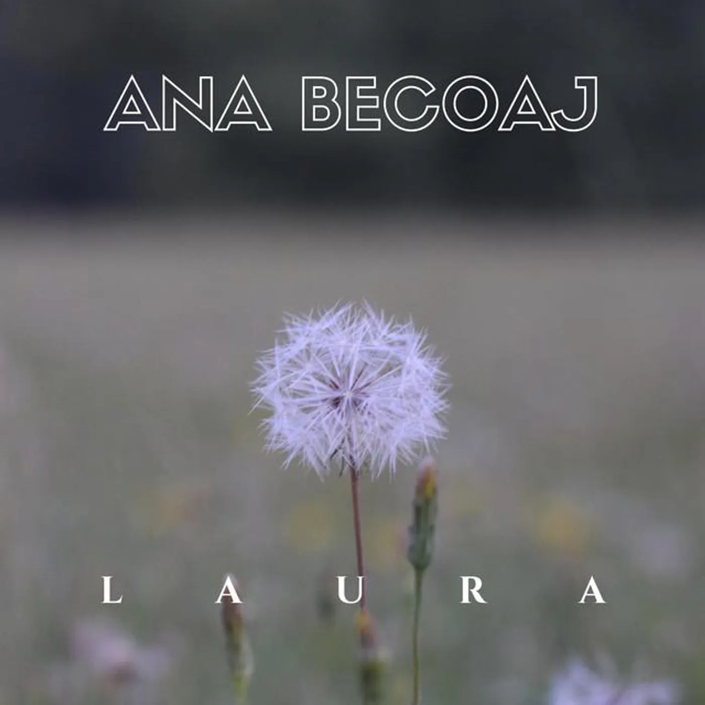 Laura Palominos Brand Page